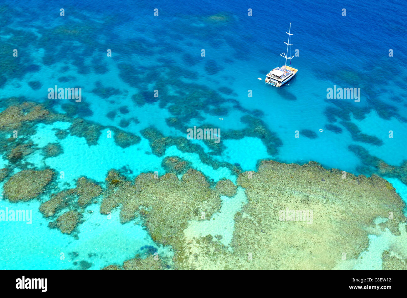 Barca sul punto di immersione nella Grande Barriera Corallina in Australia visto da sopra Foto Stock