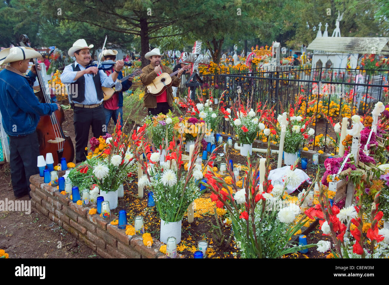 Gruppo Mariachi a grave, Dia de Muertos (Giorno dei Morti) celebrazioni Tzintzuntzan, Lago de Patzcuaro Michoacan, stato, Messico Foto Stock
