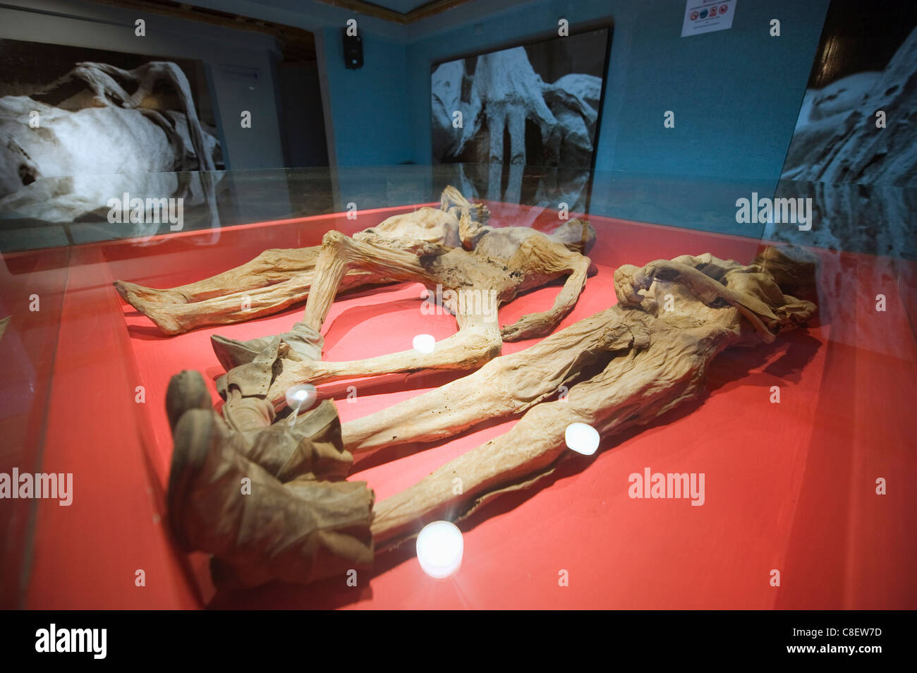 Museo de las Momias (Museo delle Mummie, Guanajuato, stato di Guanajuato, Messico Foto Stock