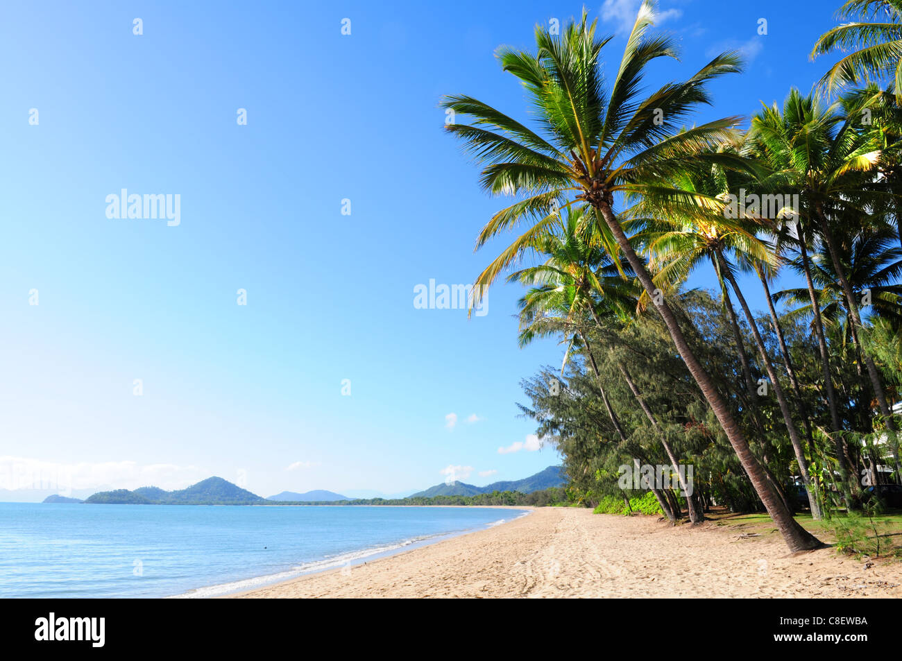 Splendidi e verdi palme spiaggia tropicale Palm Cove nel Queensland, Australia Foto Stock