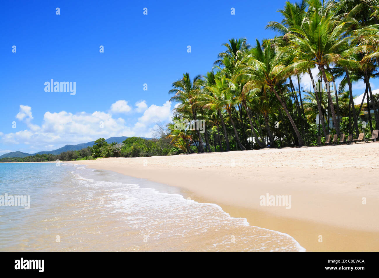 Spiaggia tropicale con palme di Palm Cove, Australia Foto Stock