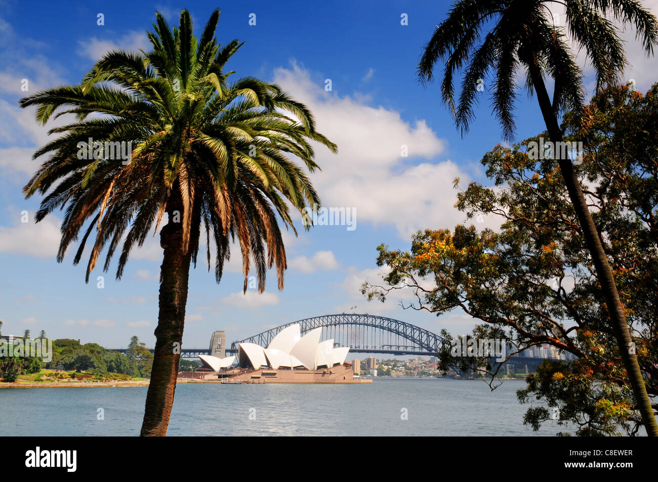 Sydney Opera House e Harbour Bridge in Australia visto dal giardino botanico Foto Stock