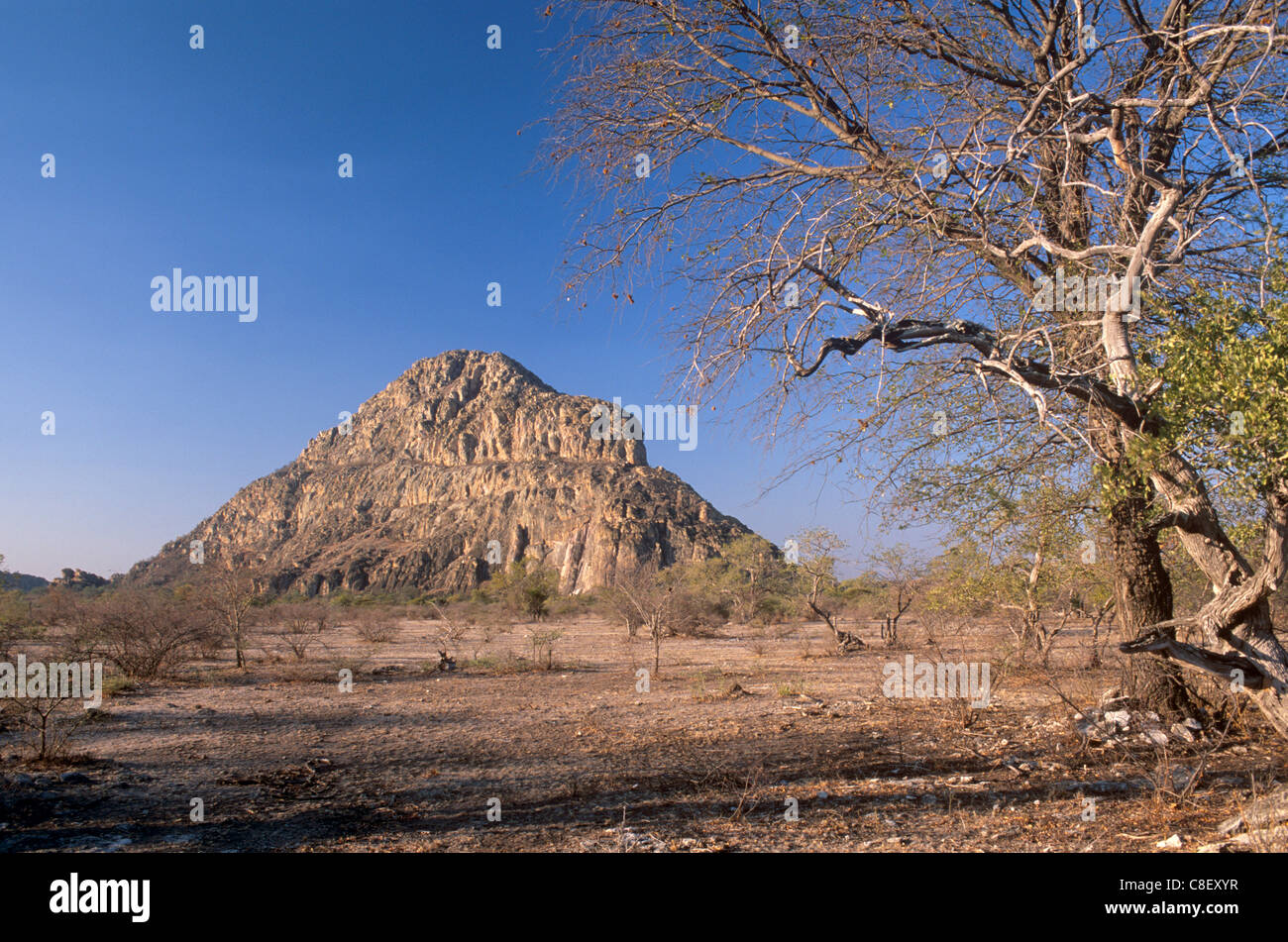 La collina di sesso maschile, 410m, western deserto Kalahari, Tsodilo Hills rock Art sites, Sito Patrimonio Mondiale dell'UNESCO, Ngamiland, Botswana Foto Stock
