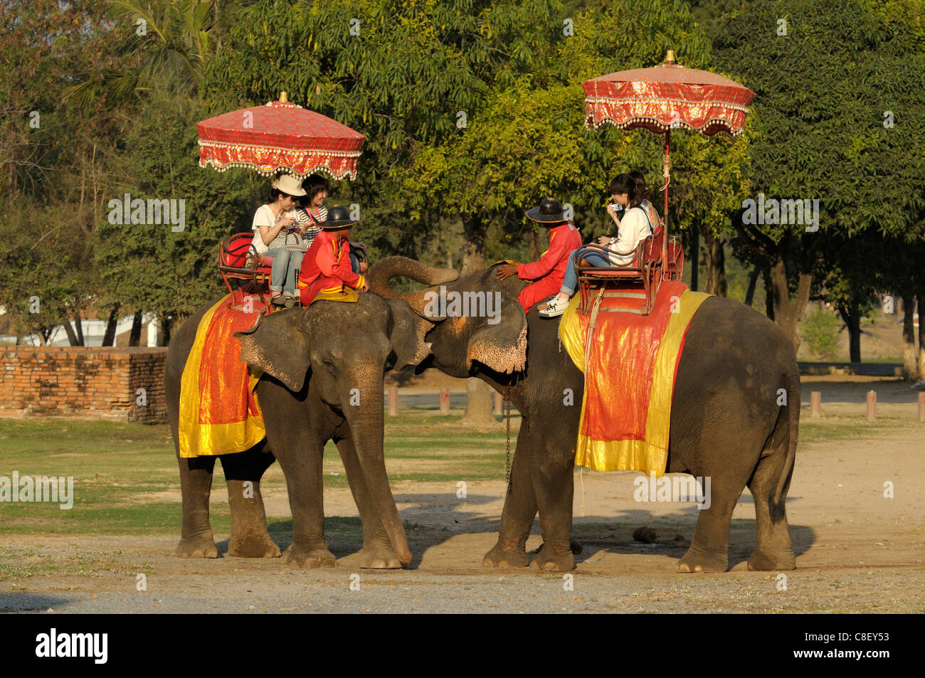 I turisti, equitazione, elefante, Phra Ram Park, UNESCO Patrimonio Mondiale, sito, Ayutthaya, Thailandia, Asia, ombrello Foto Stock