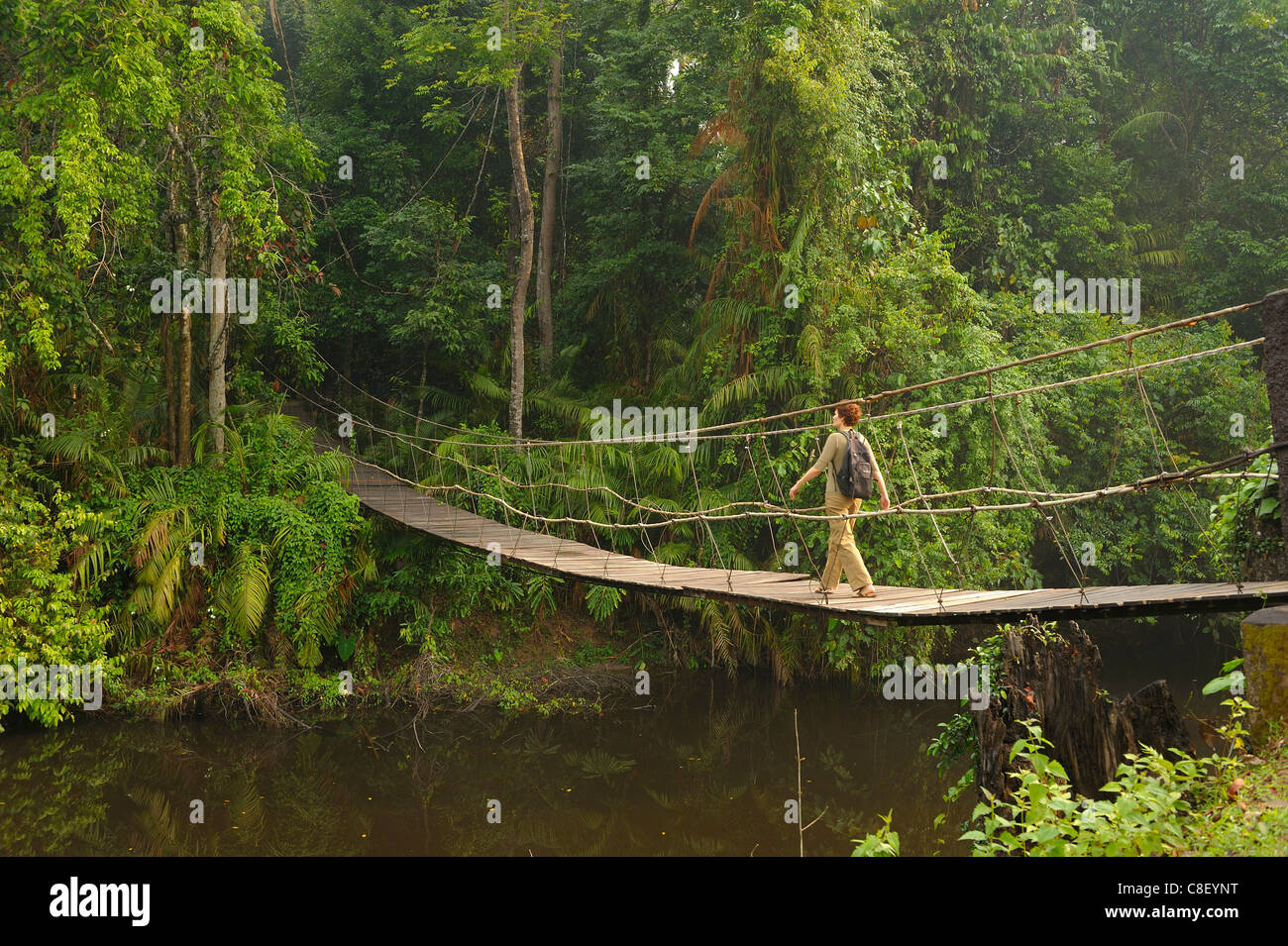 Ponte di sospensione e primitivo, donna, Creek, Khao Yai, parco nazionale, patrimonio mondiale, sito, Thailandia, Asia, Fiume Foto Stock