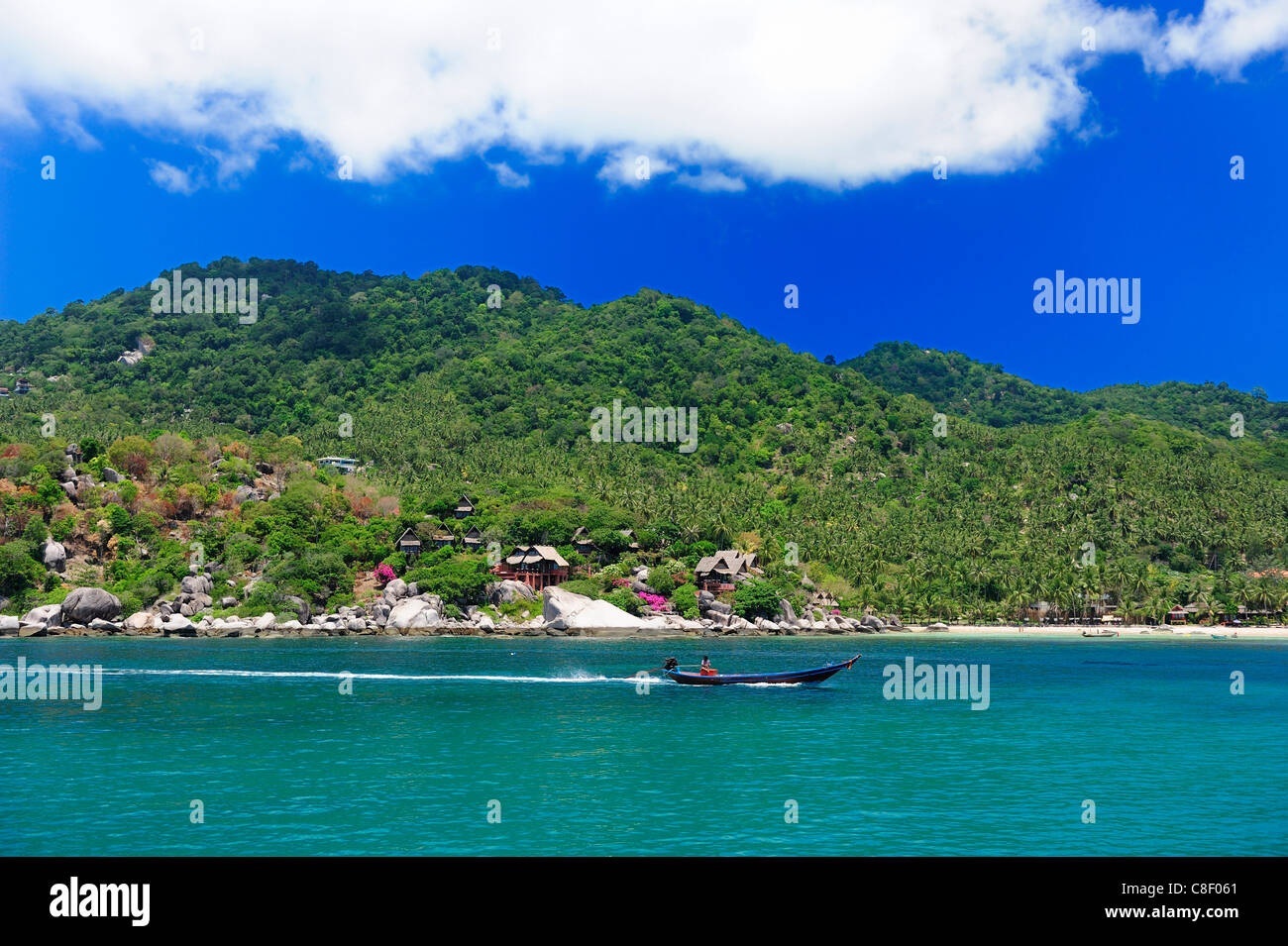 Koh Tao, Thailandia, Asia, spiaggia, turismo, foresta Foto Stock