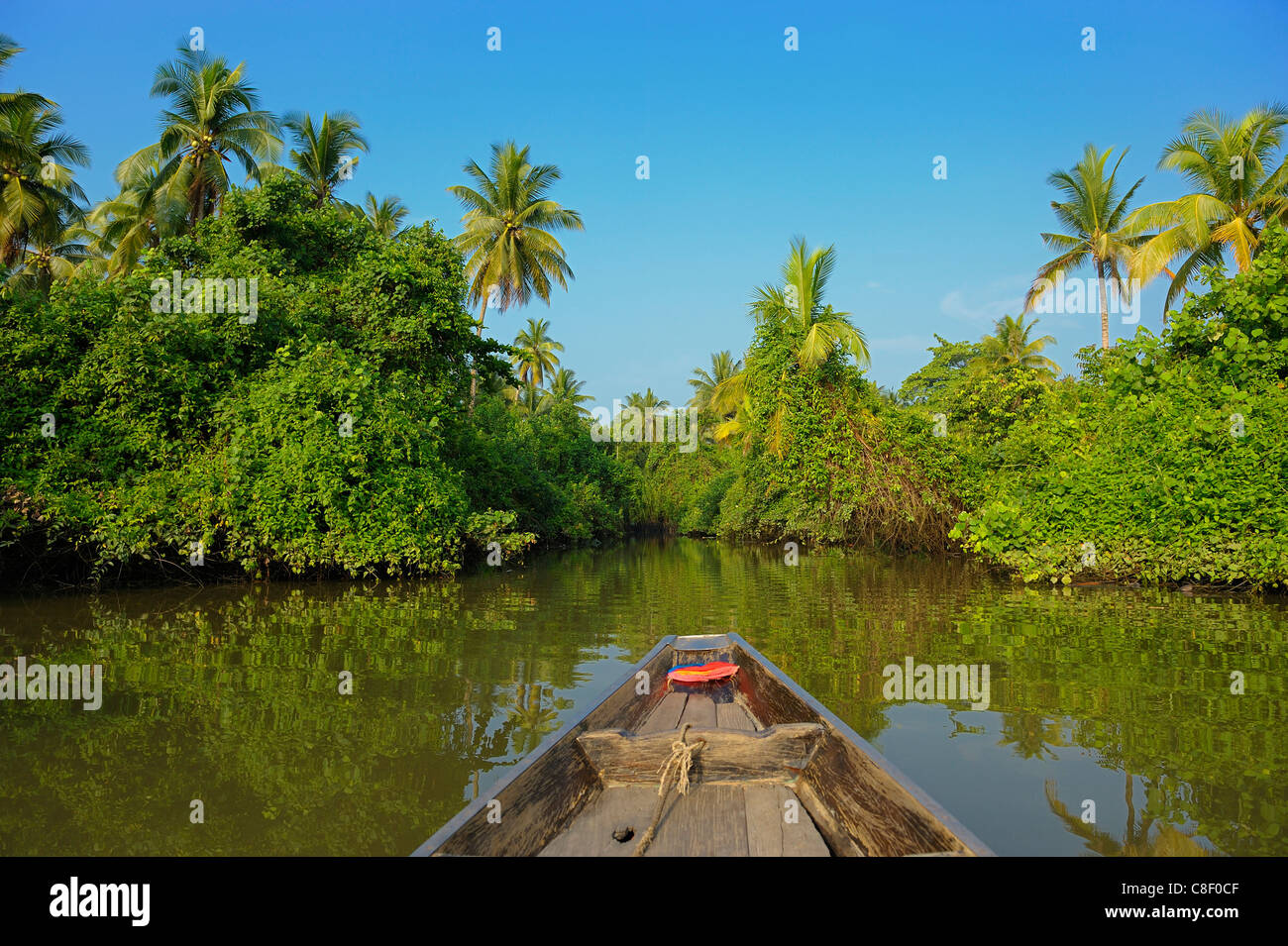 Klong, Tour, longtail boat, barca, Tapee River, Surat Thani, Thailandia, Asia, turismo Foto Stock