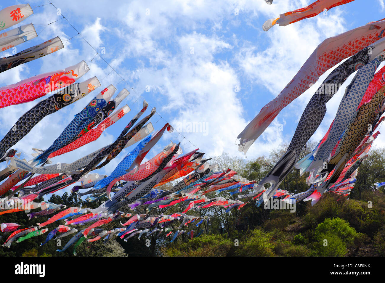 Banderuola di carpa Foto Stock