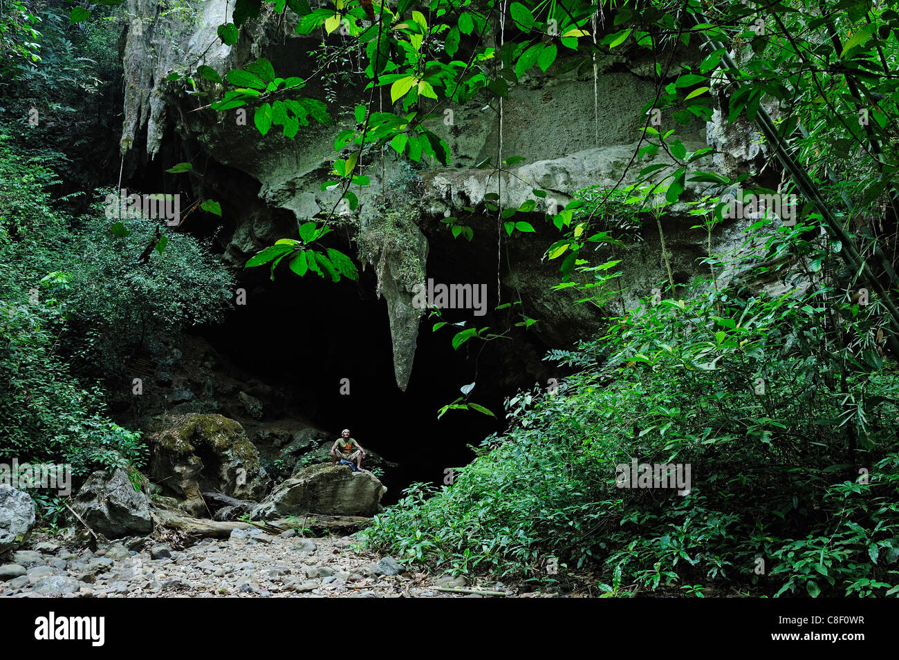 Nam Thalu, grotta, diga di Ratchaprapha, Khao Sok, Parco Nazionale, Thailandia, Asia, natura Foto Stock