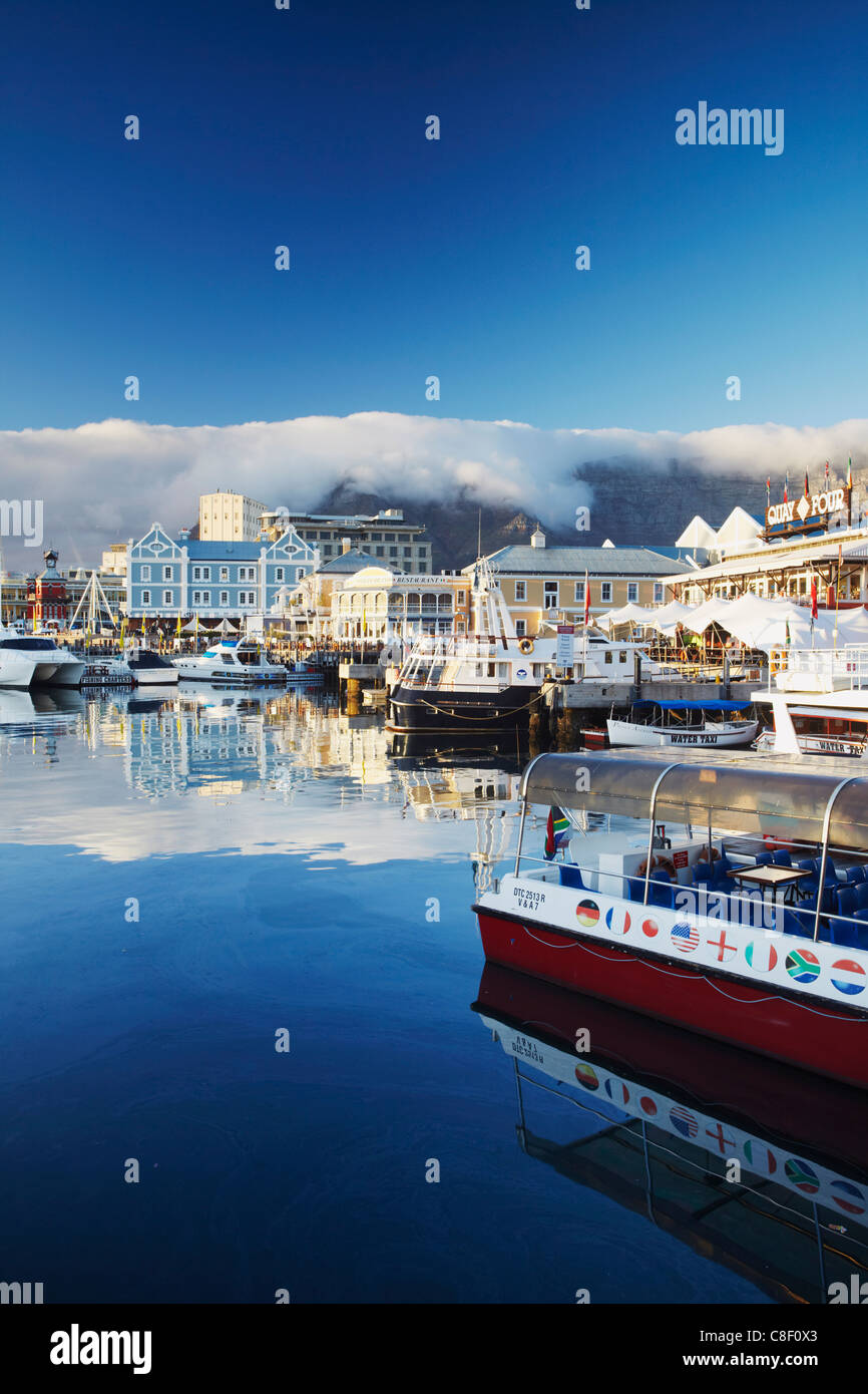 Victoria and Alfred Waterfront all'alba, Cape Town, Western Cape, Sud Africa Foto Stock