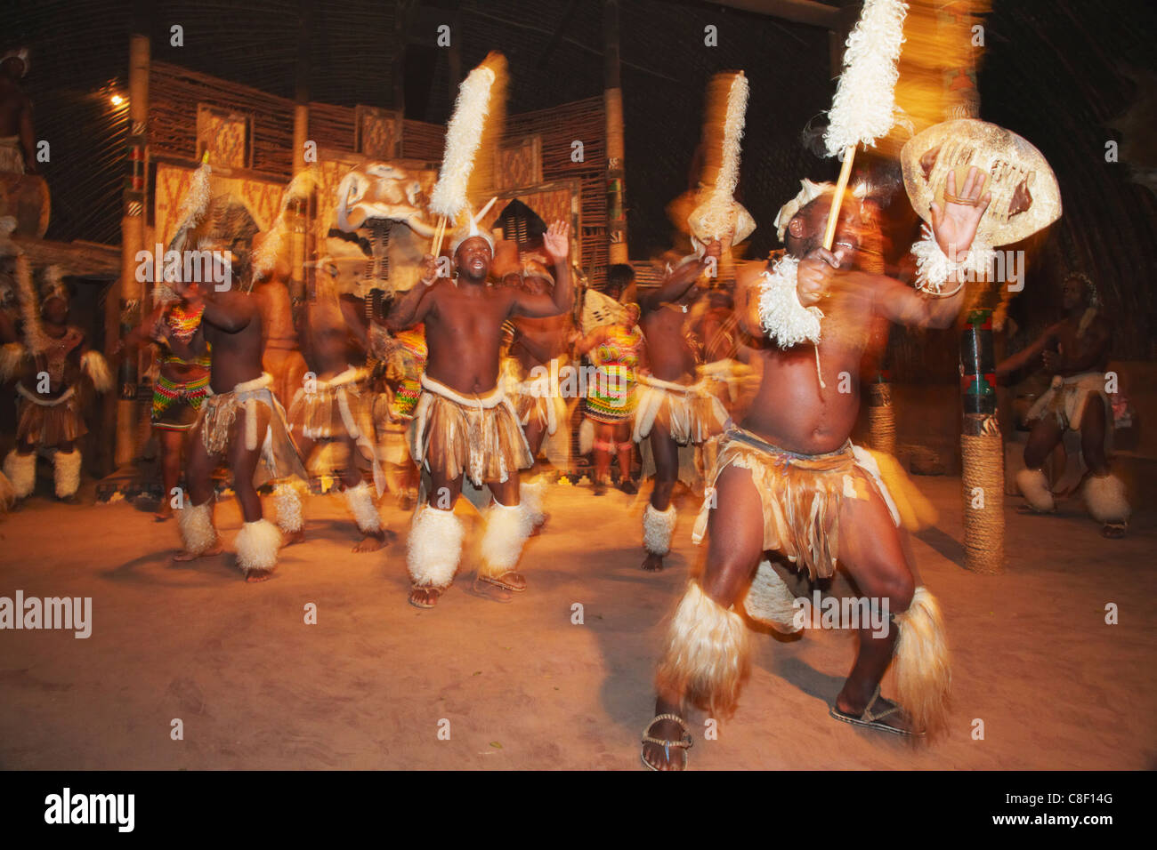 Ballerini di eseguire la tradizionale danza Zulu Shakaland,, di Eshowe, Zululand, KwaZulu-Natal, Sud Africa Foto Stock