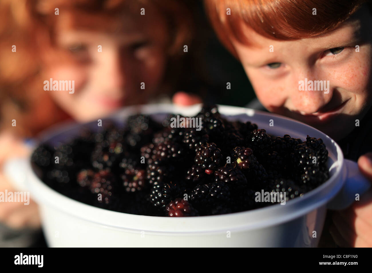 Dai capelli rossi bambini irlandesi display appena raccolto blackberry Foto Stock