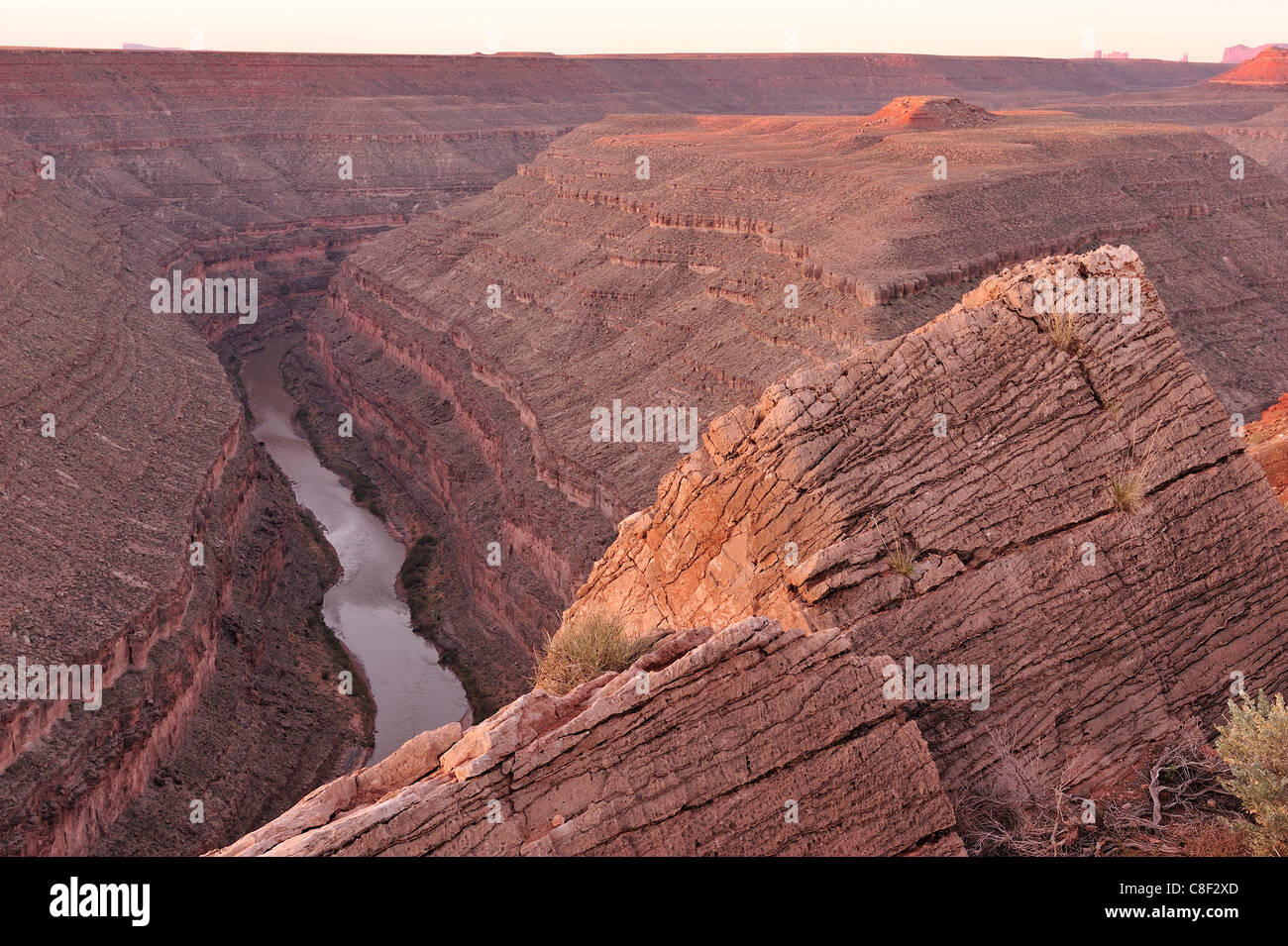 Snodi, Parco Statale, il fiume San Juan, Colorado Plateau, Utah, Stati Uniti d'America, Stati Uniti, America, canyon Foto Stock