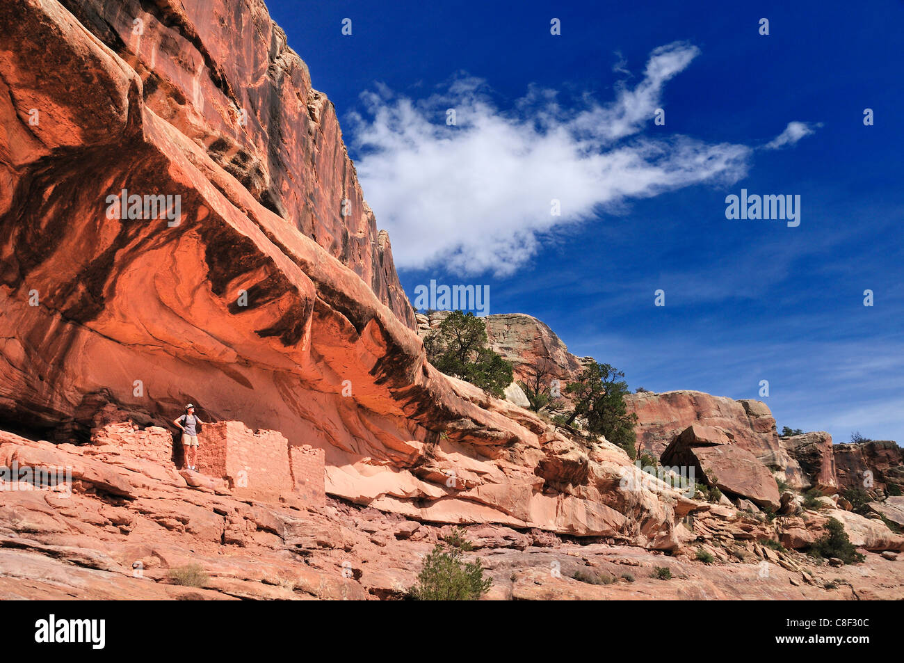 Anasazi, indiano, rovine, Mule Canyon Cedar Mesa, Colorado Plateau, Utah, Stati Uniti d'America, Stati Uniti, America, Foto Stock