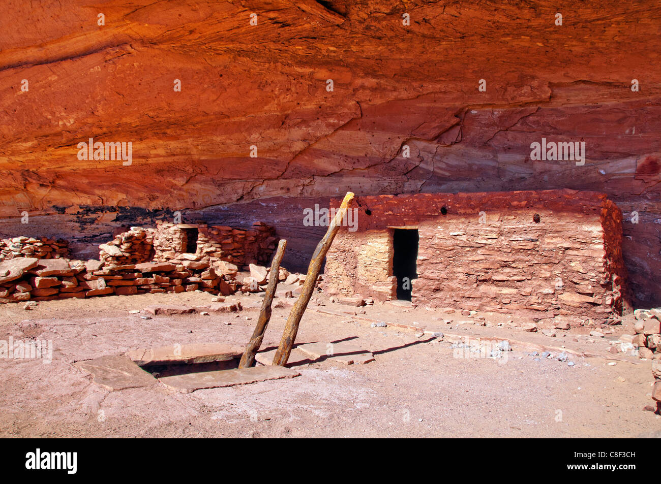Anasazi, cliff dwellings, perfetto Kiva, rovina, Bullet Canyon, Grand Gulch Primitive Area, Cedar Mesa, Colorado Plateau, Utah, Stati Uniti d'America Foto Stock