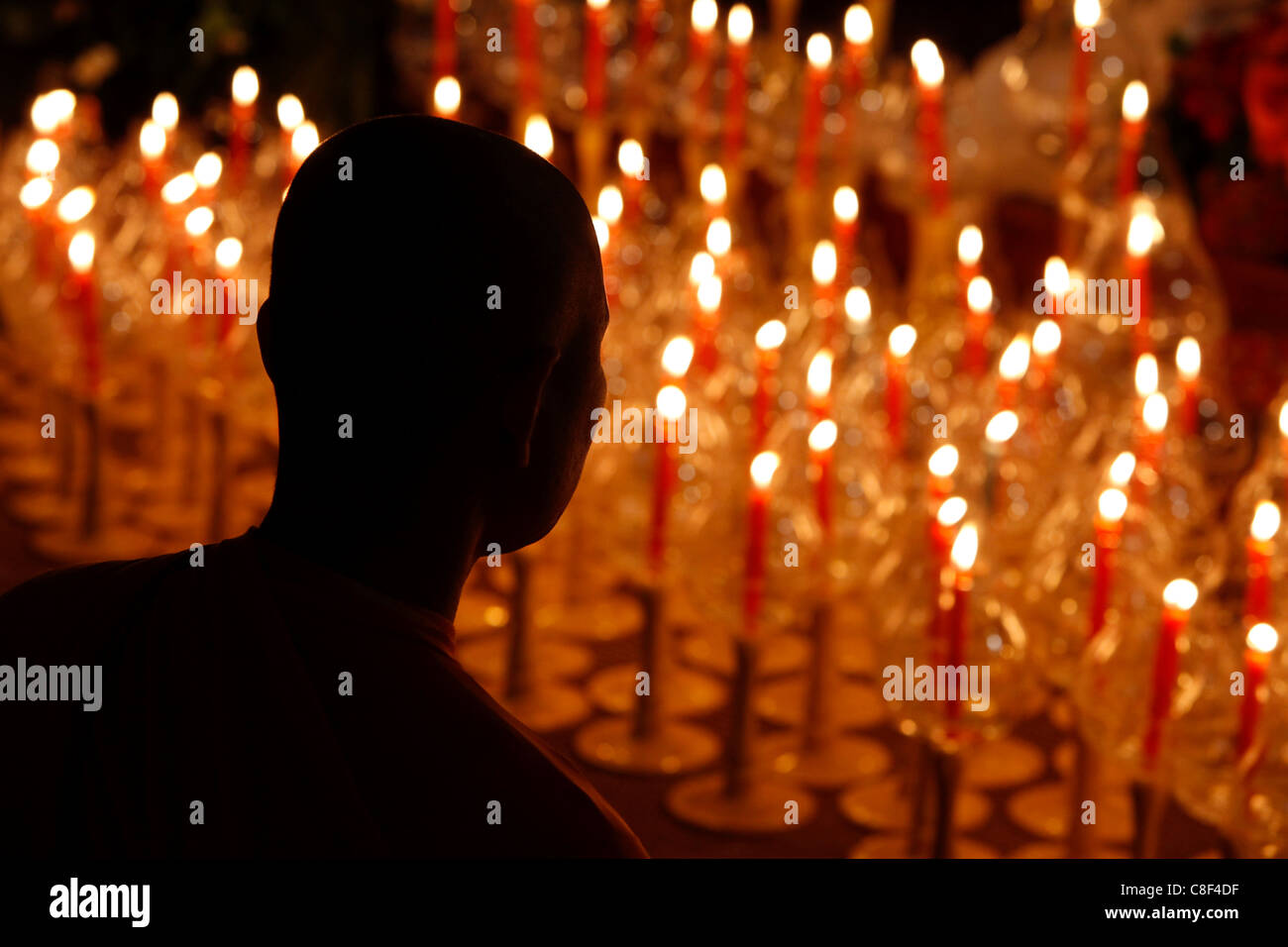 Wesak Buddha festeggia il compleanno, risveglio e Nirvana, il grande tempio buddista (Grande Pagode de Vincennes, Parigi, Francia Foto Stock