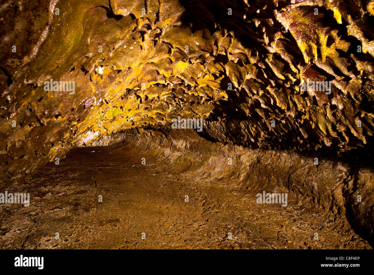 Grutas de Sao Vicente, Portogallo, Europa, Madera, grotta grotta lavica, vulcanismo Foto Stock
