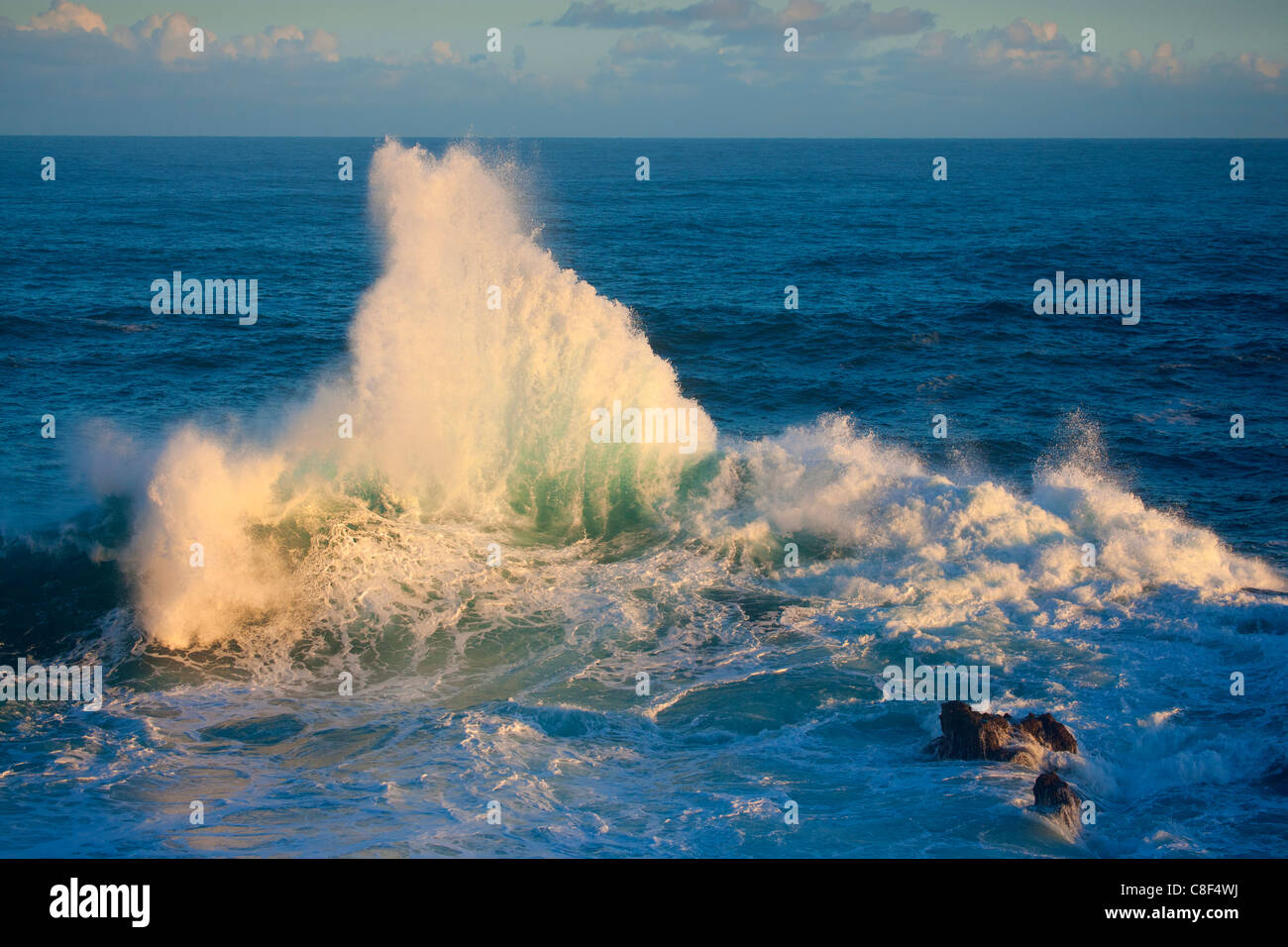 Porto Moniz, Portogallo, Europa, Madera, costa, mare, Atlantic, acqua, onde, schiuma, elemento naturale vigore, energia Foto Stock