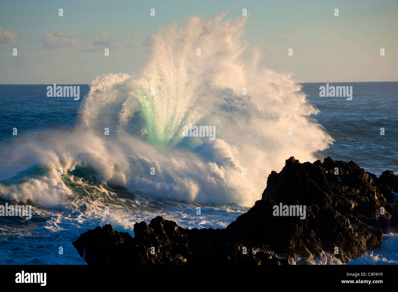 Porto Moniz, Portogallo, Europa, Madera, costa, mare, Atlantic, acqua, onde, schiuma, elemento naturale vigore, energia, rock, Cliff, l Foto Stock