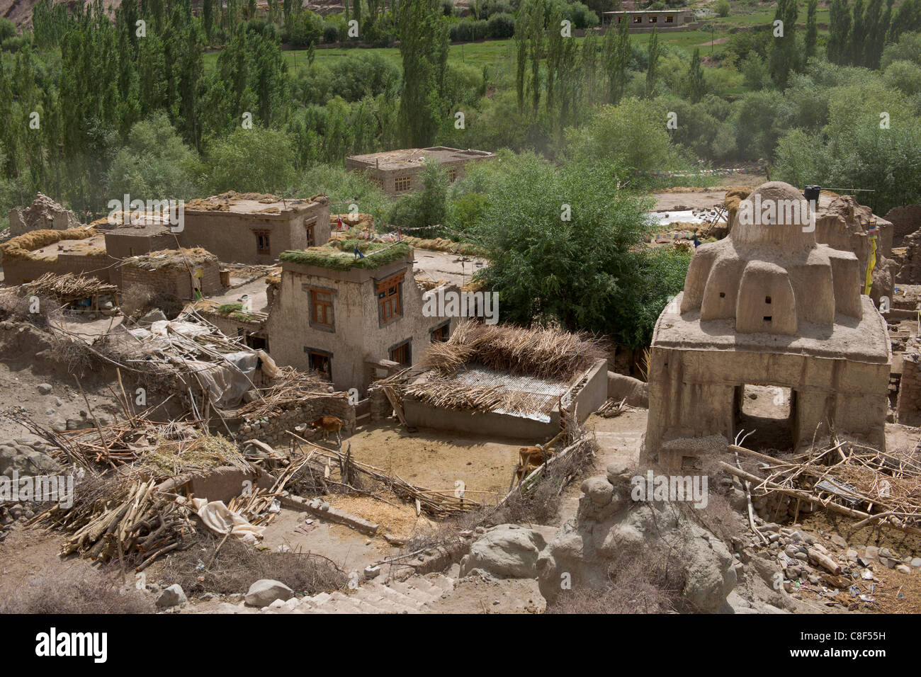 Piccolo borgo ai piedi del gompa Basgo, Basgo, (Ladakh) Jammu e Kashmir India Foto Stock