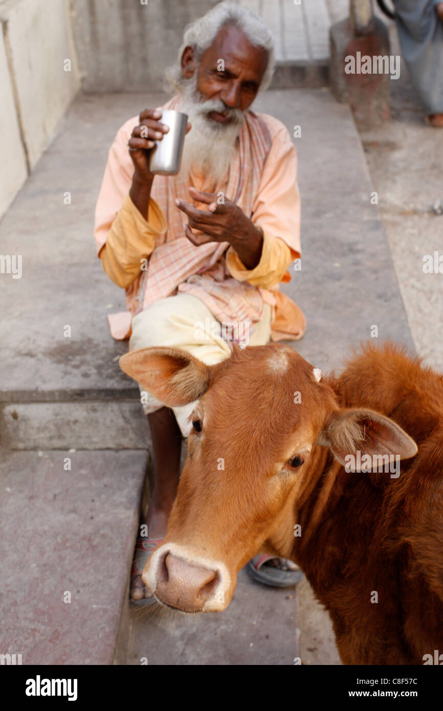Sadhu e vacca sacra, Rishikesh, Uttarakhand, India Foto Stock