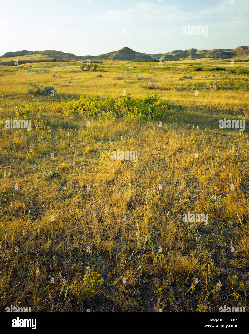 AA02201-04...Dakota del Nord - Open prairie in Little Missouri National praterie. Foto Stock