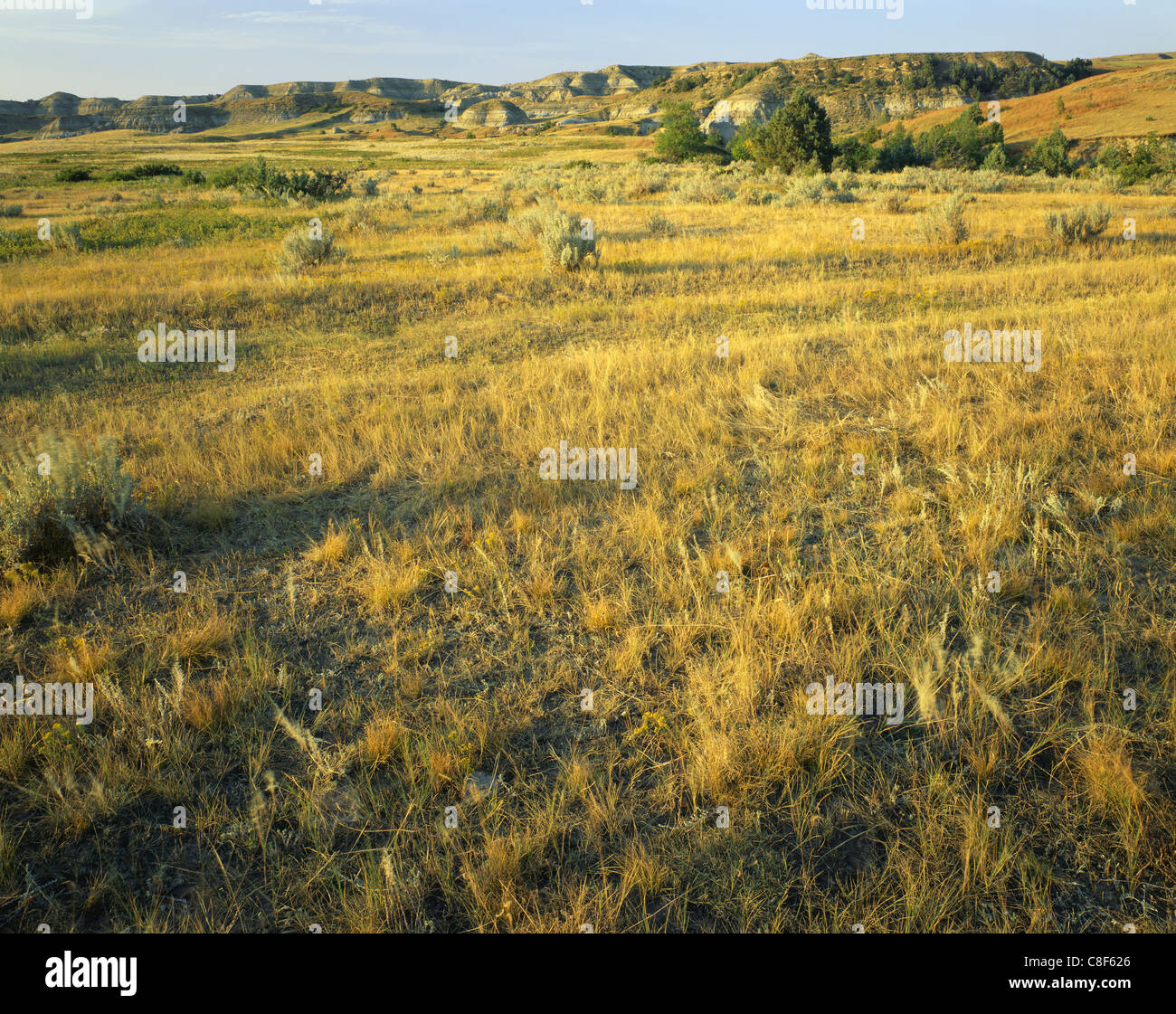 AA02202-03...Dakota del Nord - Open prairie in Little Missouri National praterie. Foto Stock