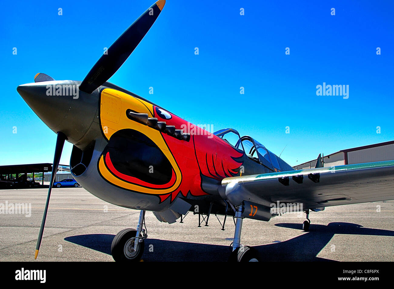 Curtiss P-40N Warhawk presso il Warhawk Aviation Museum a Nampa Municipal Airport Foto Stock