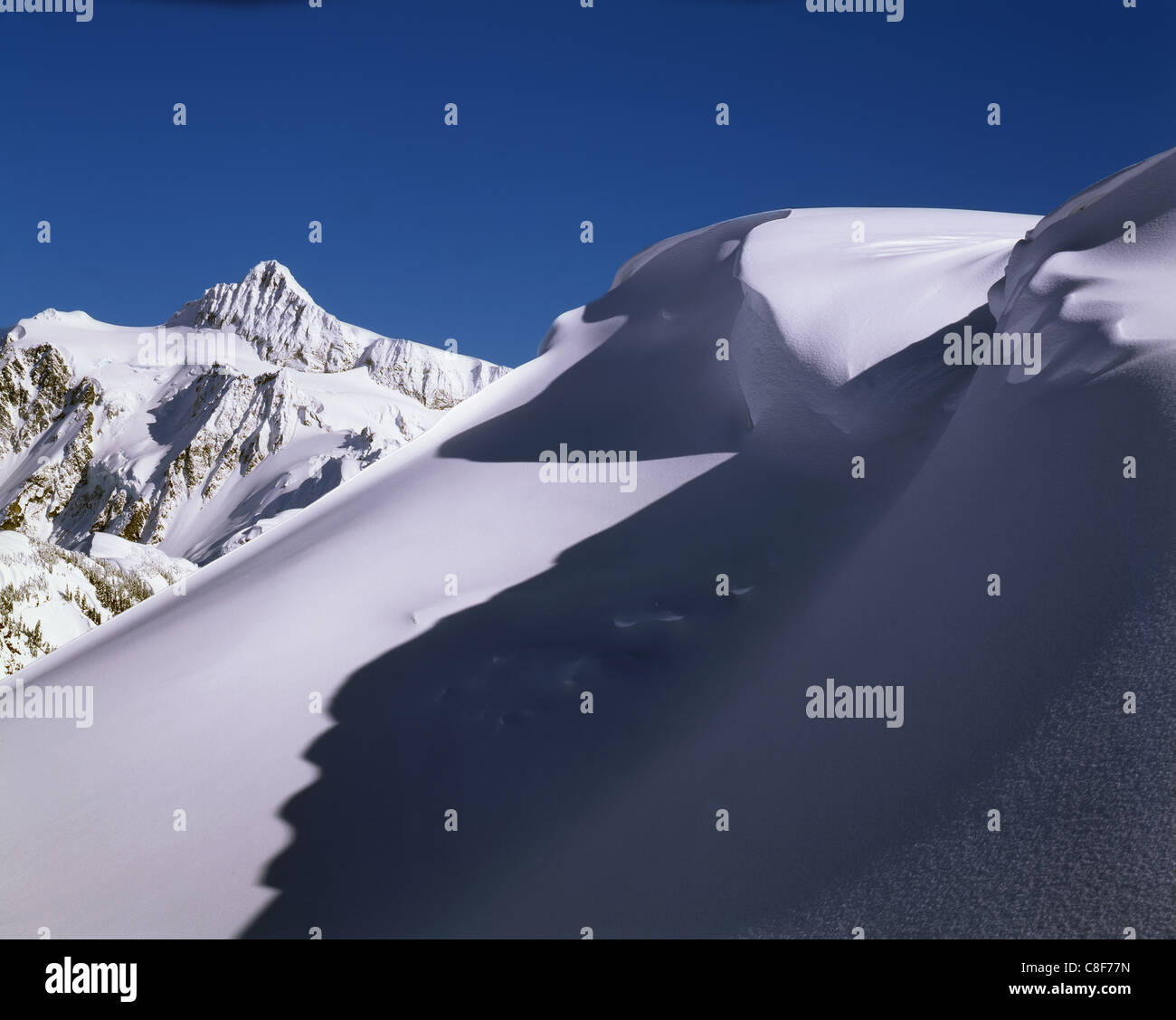 AA01610-02...WASHINGTON - coperta di neve la corale Kulshan Ridge e il Monte Shuksan nel Mount Baker - Snoqualmie National Forest. Foto Stock