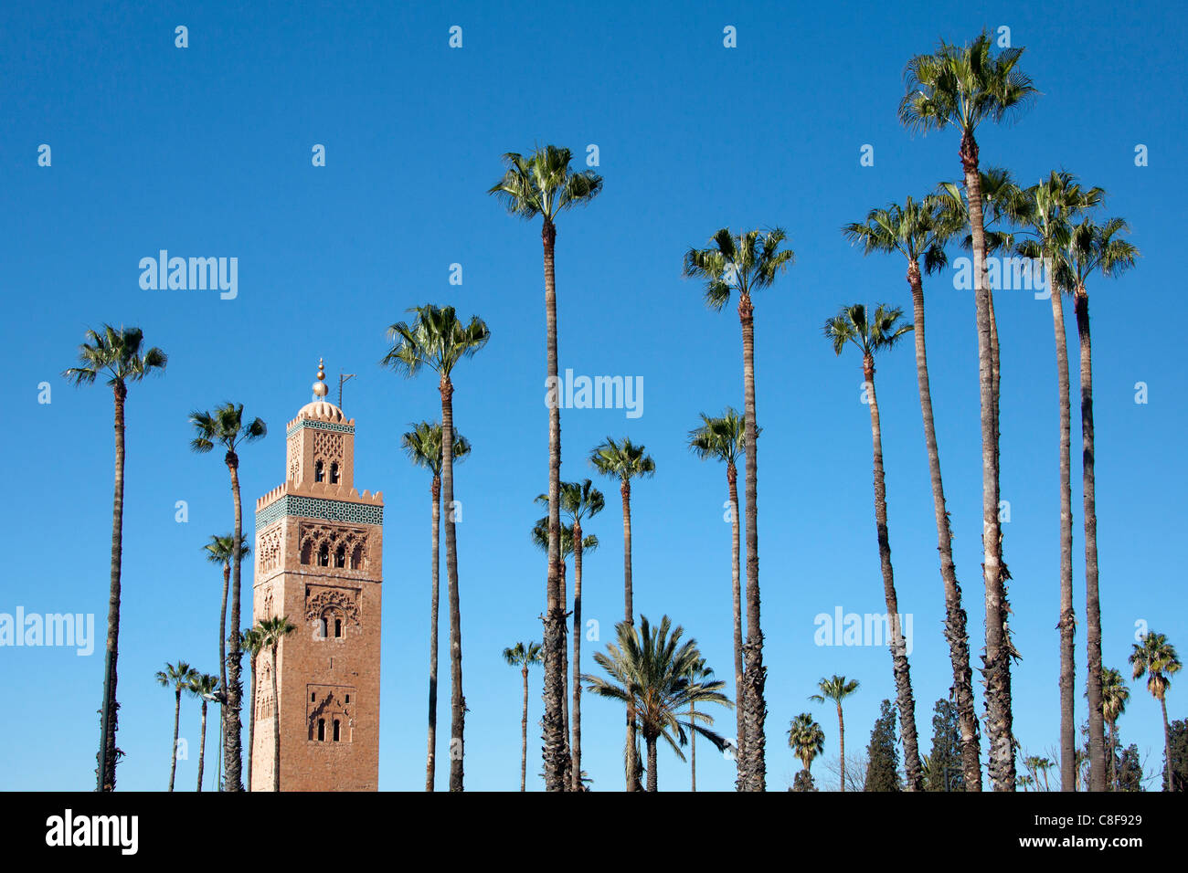 Il Marocco, Africa Settentrionale, Africa Marrakech, Koutobia, torre rook, palme Foto Stock