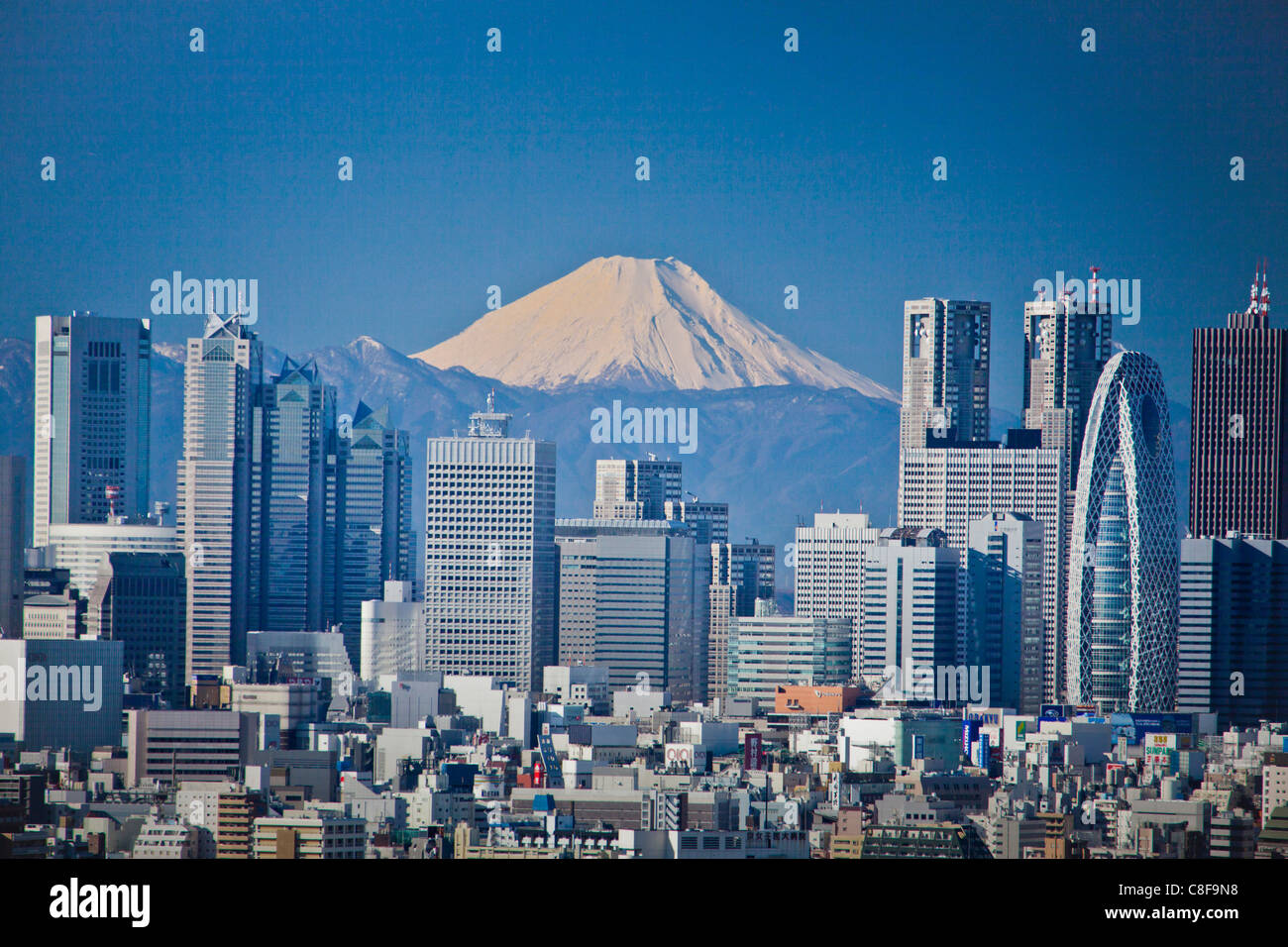 Tokyo, city, Giappone, Novembre, Asia, distretto, Shinjuku, Monte Fuji, montagna, Fuji, neve, Skyline, i blocchi di appartamenti, alto Foto Stock
