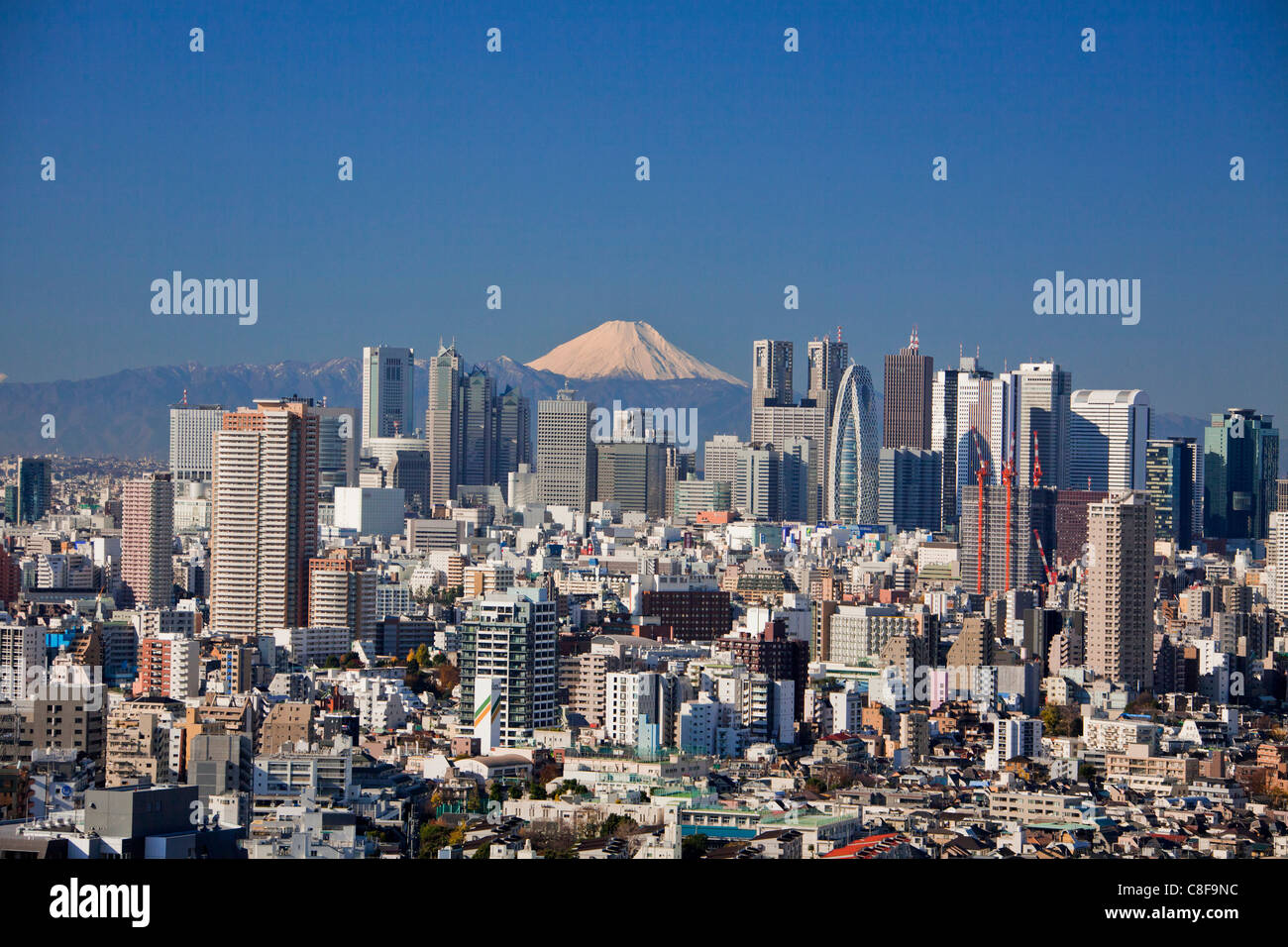 Tokyo, city, Giappone, Novembre, Asia, distretto, Shinjuku, Monte Fuji, montagna, Fuji, neve, Skyline, i blocchi di appartamenti, alto Foto Stock