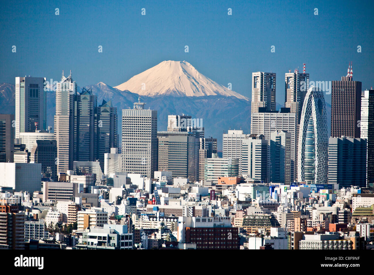 Tokyo, city, Giappone, Novembre, Asia, distretto, Shinjuku, Monte Fuji, montagna, Fuji, neve, Skyline, i blocchi di appartamenti, alto Foto Stock