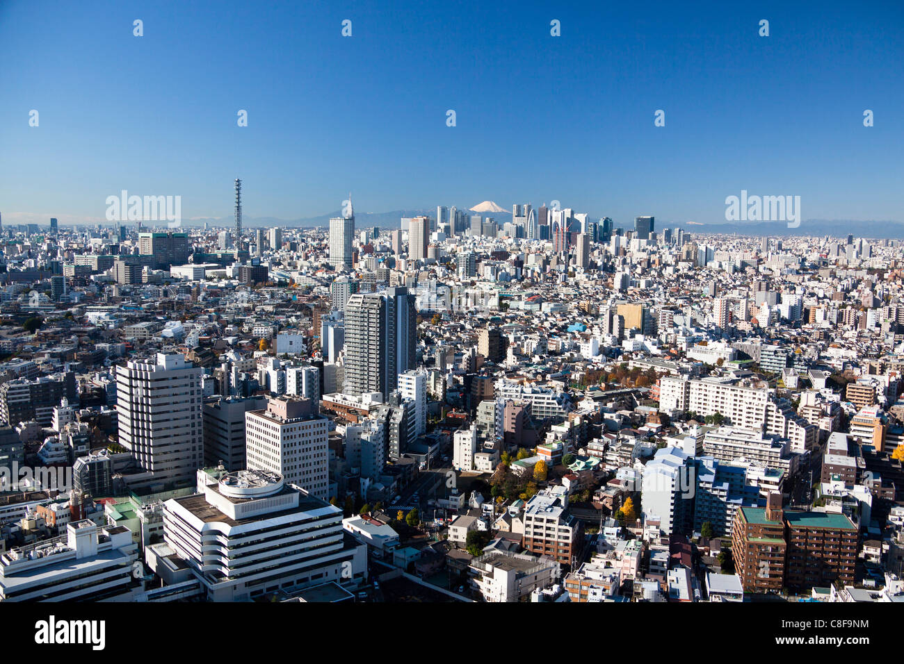 Tokyo, city, Giappone, Novembre, Asia, distretto, Shinjuku, Monte Fuji, montagna, Fuji, neve, Skyline, i blocchi di appartamenti, alto Foto Stock