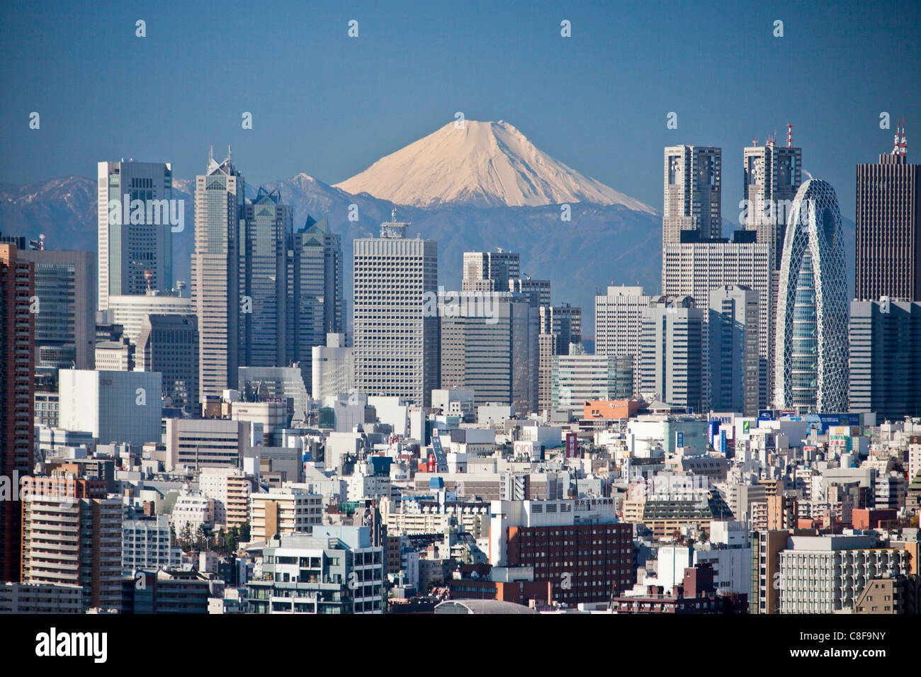 Tokyo, city, Giappone, Novembre, Asia, distretto, Shinjuku, Monte Fuji, montagna, Fuji, neve, Skyline, i blocchi di appartamenti, alto Foto Stock