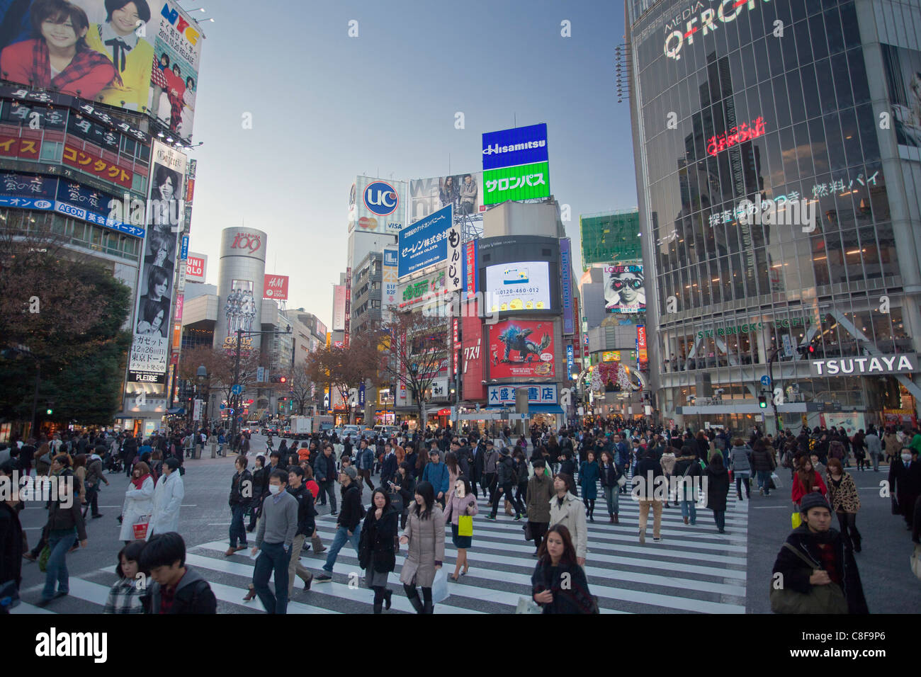 Tokyo, city, Giappone, Novembre, Asia, district, Shibuya, persone, passanti, pedoni, città, centro città, pedonale cr Foto Stock