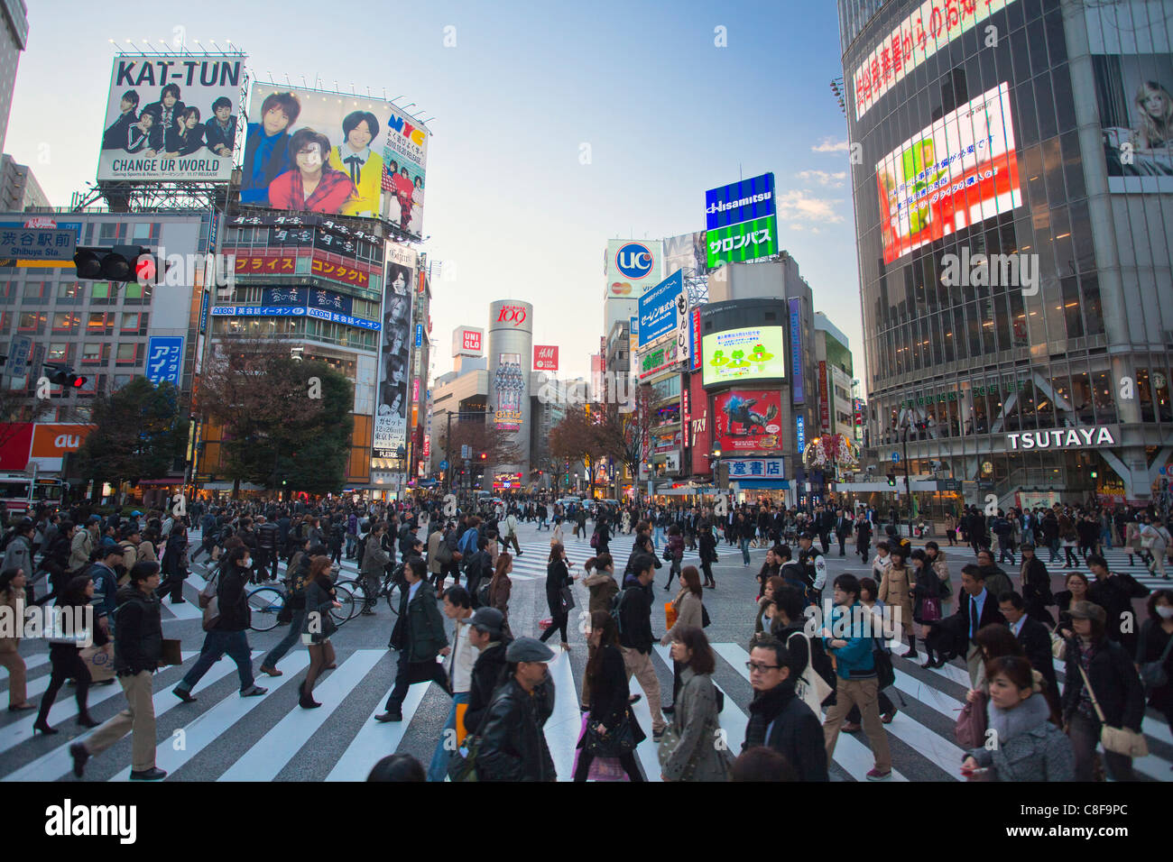 Tokyo, city, Giappone, Novembre, Asia, district, Shibuya, persone, passanti, pedoni, città, centro città, pedonale cr Foto Stock