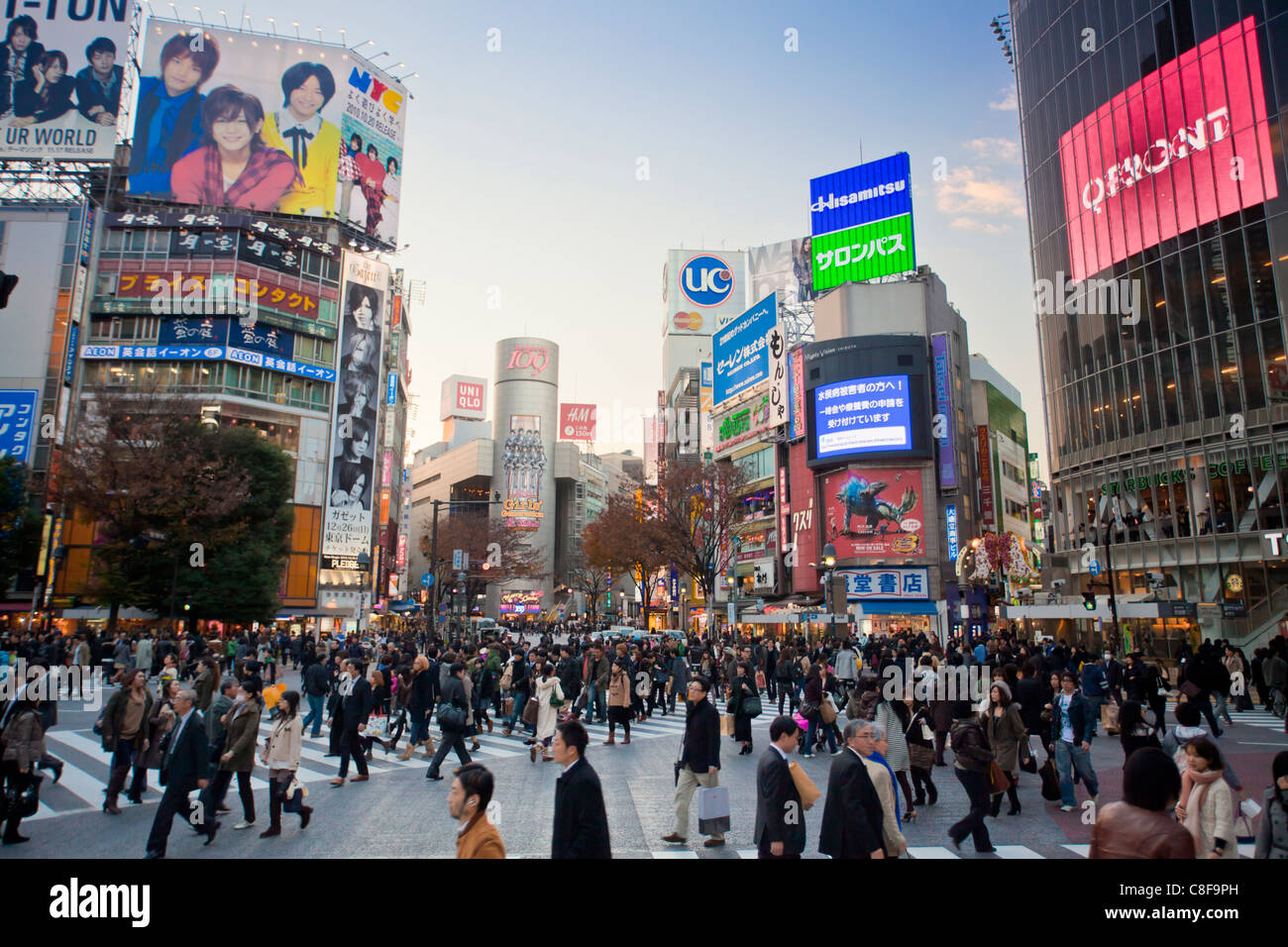 Tokyo, city, Giappone, Novembre, Asia, district, Shibuya, persone, passanti, pedoni, città, centro città, pedonale cr Foto Stock