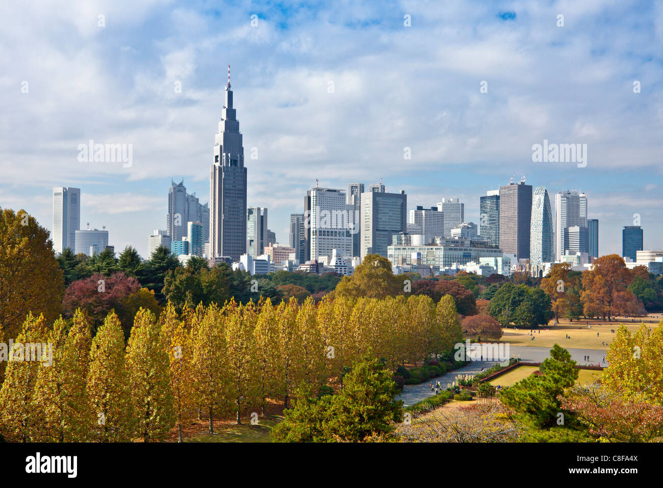 Tokyo, city, Giappone, Novembre, Asia, district, Shinjuku, Shinjuku Gyoen park, parco, autunno, i blocchi di appartamenti, edifici ad alta, Foto Stock