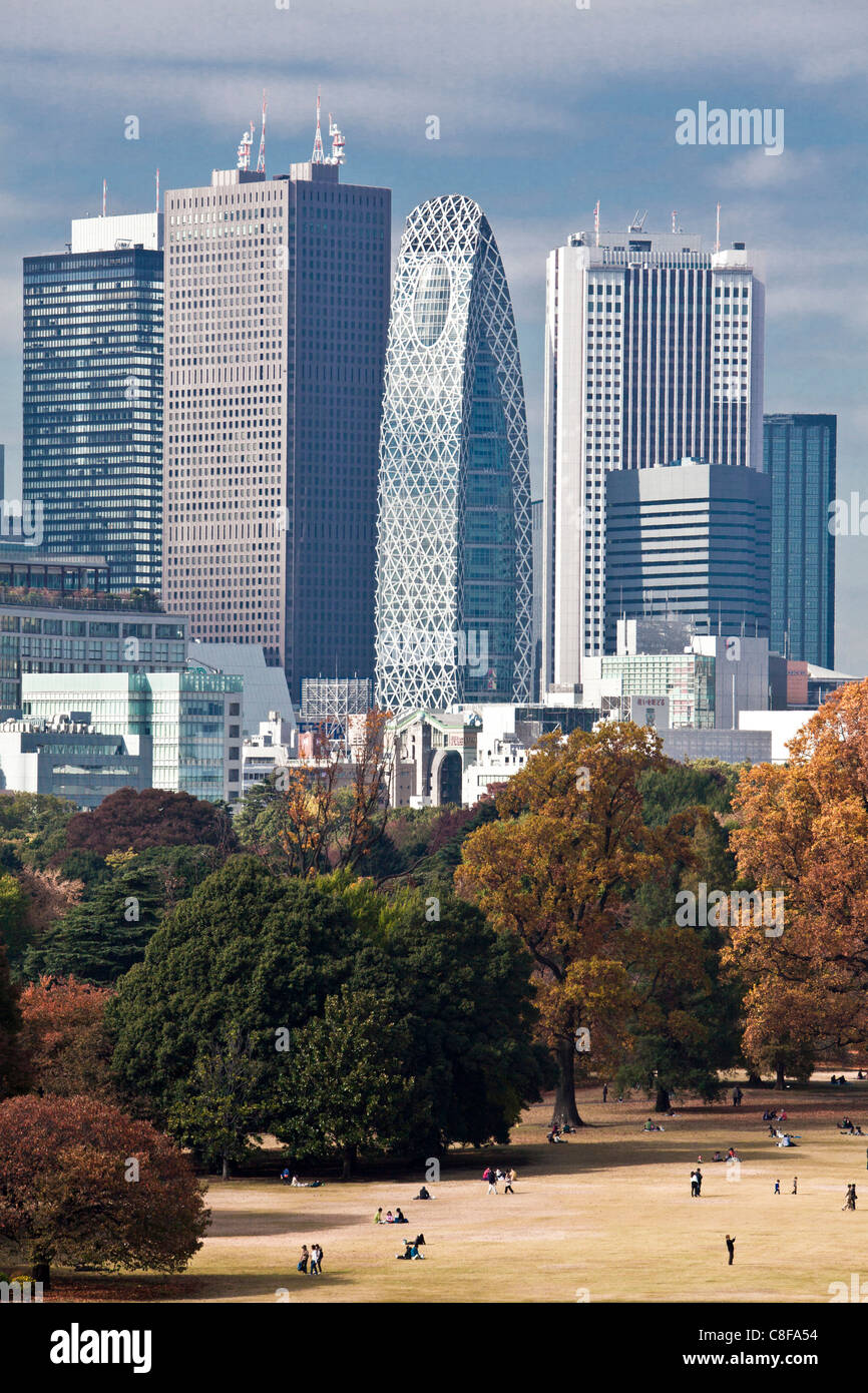 Tokyo, city, Giappone, Novembre, Asia, district, Shinjuku, Shinjuku Gyoen park, parco, autunno, i blocchi di appartamenti, edifici ad alta, Foto Stock