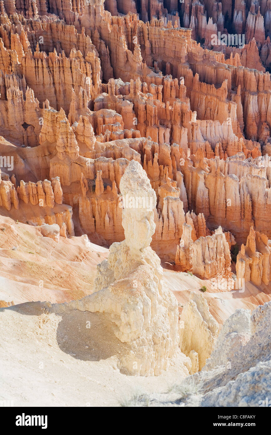 Formazioni di arenaria, Parco Nazionale di Bryce Canyon, Utah, Stati Uniti d'America Foto Stock