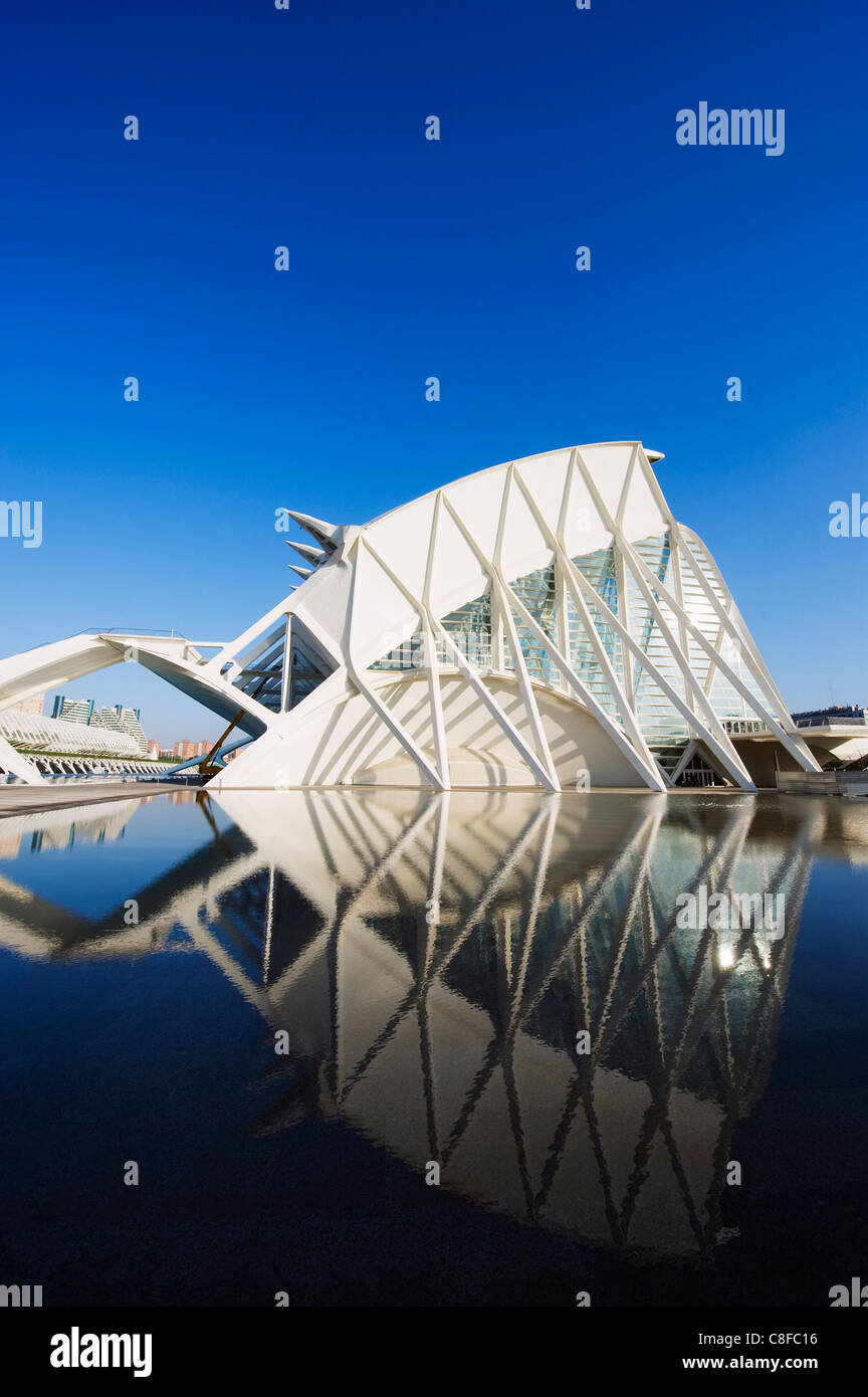Museo della scienza, l'architetto Santiago Calatrava, Città delle Arti e delle Scienze di Valencia, Spagna Foto Stock