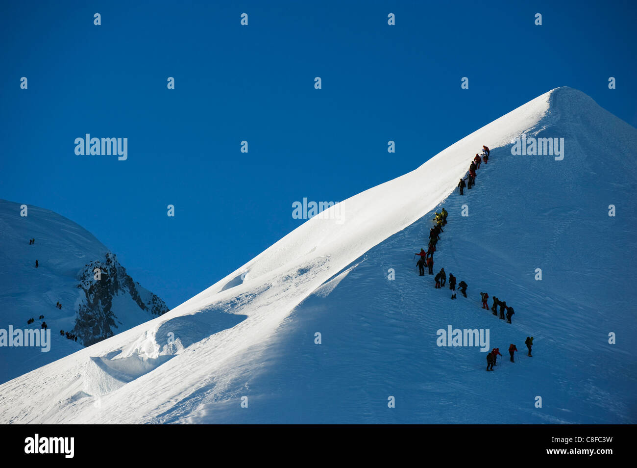 Lungo la linea di alpinisti sulla cresta del vertice di Mont Blanc, 4810m, Chamonix, sulle Alpi francesi, Francia Foto Stock