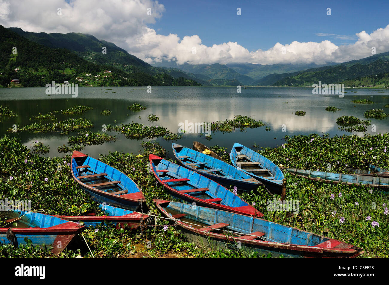 Phewa Tal (Lago Phewa, Pokhara, Gandaki, Regione Occidentale (Pashchimanchal, Nepal Foto Stock