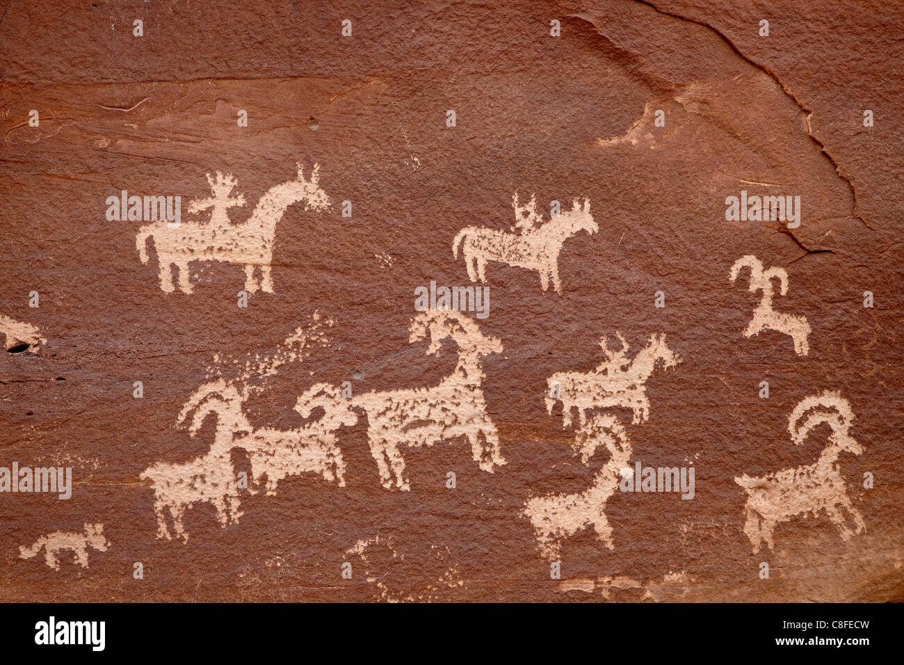 Bighorn suoneria pannello petroglyph, Arches National Park, Utah, Stati Uniti d'America Foto Stock
