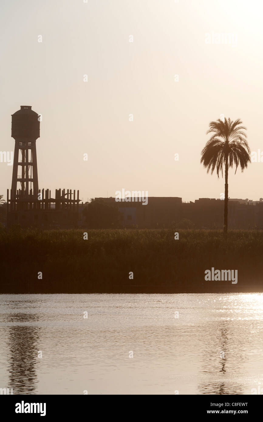 Una sezione del fiume Nilo banca con il sole che tramonta dietro a un albero di palma e water tower Creazione di colori smorzati riflessa in acqua calma Foto Stock