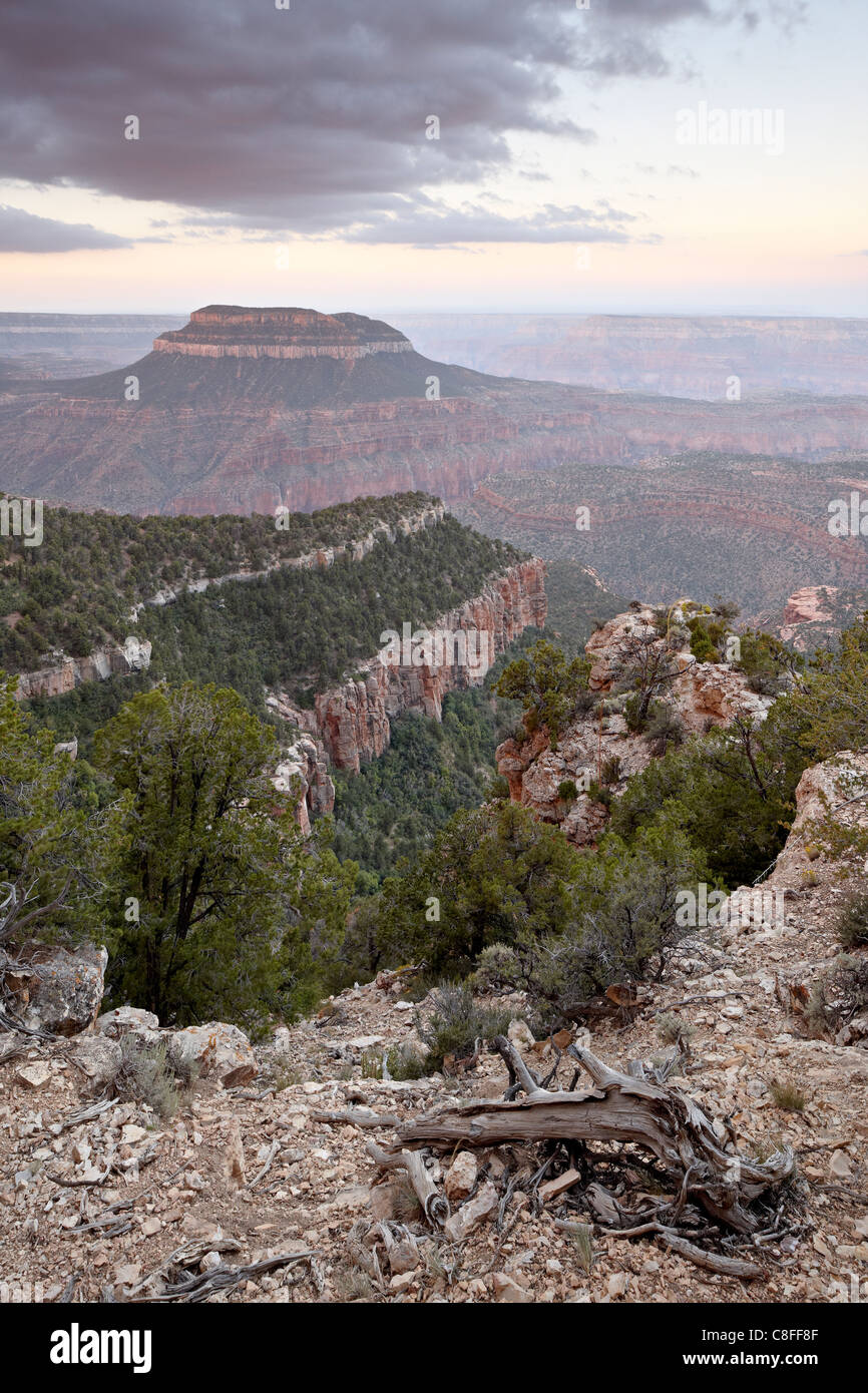 Steamboat Mountain all'alba dal punto di recinzione, North Rim Grand Canyon, Kaibab National Forest, Arizona, Stati Uniti d'America Foto Stock
