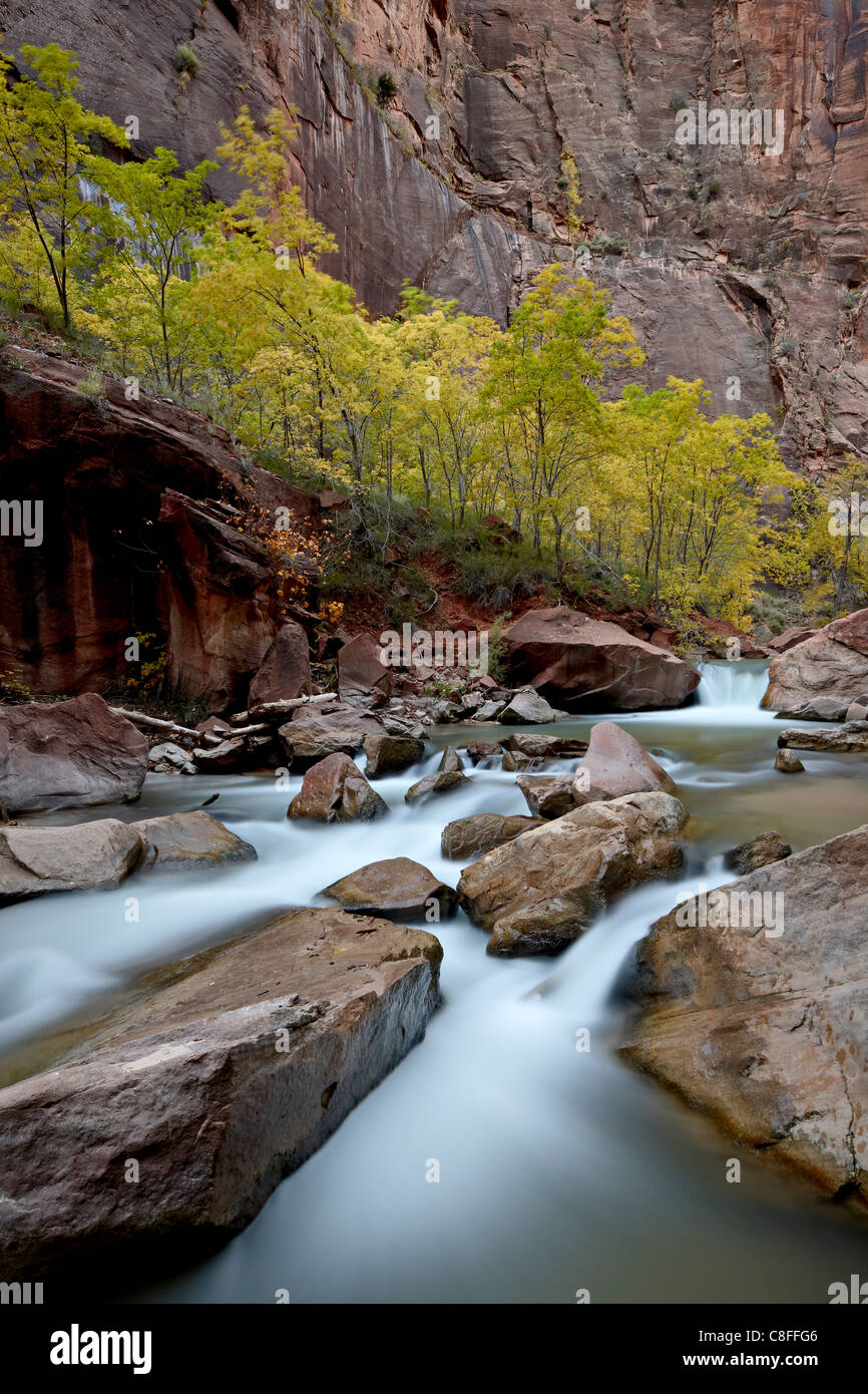 Cascate sul fiume vergine in autunno, Parco Nazionale Zion, Utah, Stati Uniti d'America Foto Stock