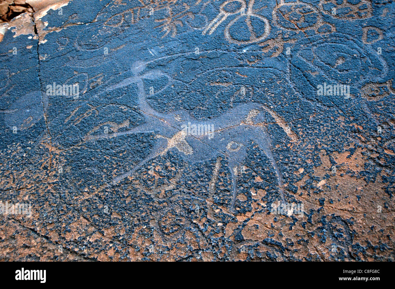 Twyfelfontein incisioni rupestri (incisioni rupestri, Tarda età della pietra, sito Patrimonio Mondiale dell'UNESCO, la regione di Kunene, Namibia Foto Stock