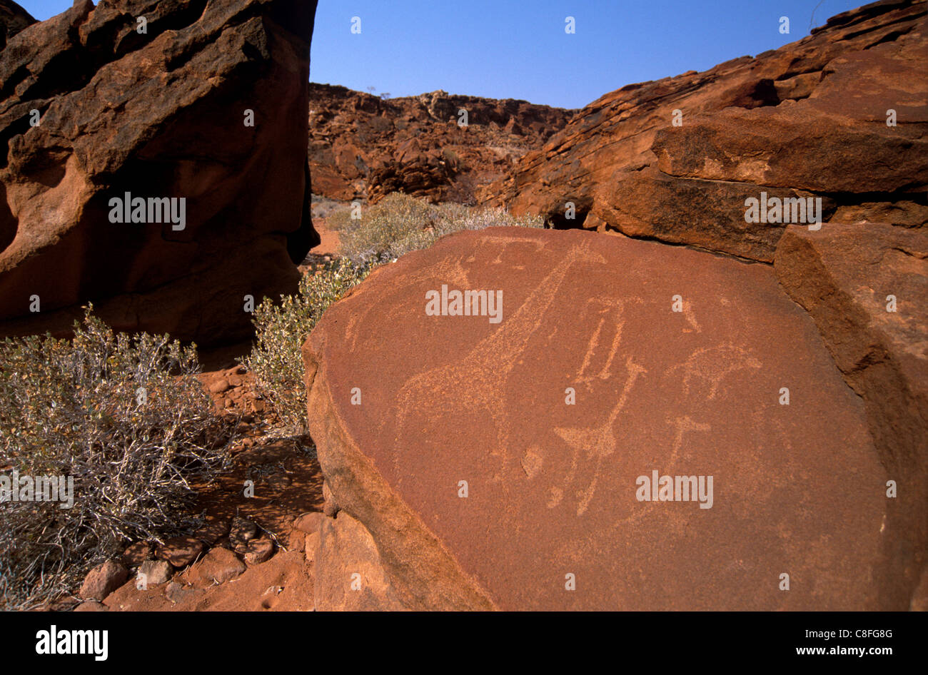 Twyfelfontein incisioni rupestri (incisioni rupestri, Tarda età della pietra, sito Patrimonio Mondiale dell'UNESCO, la regione di Kunene, Namibia Foto Stock